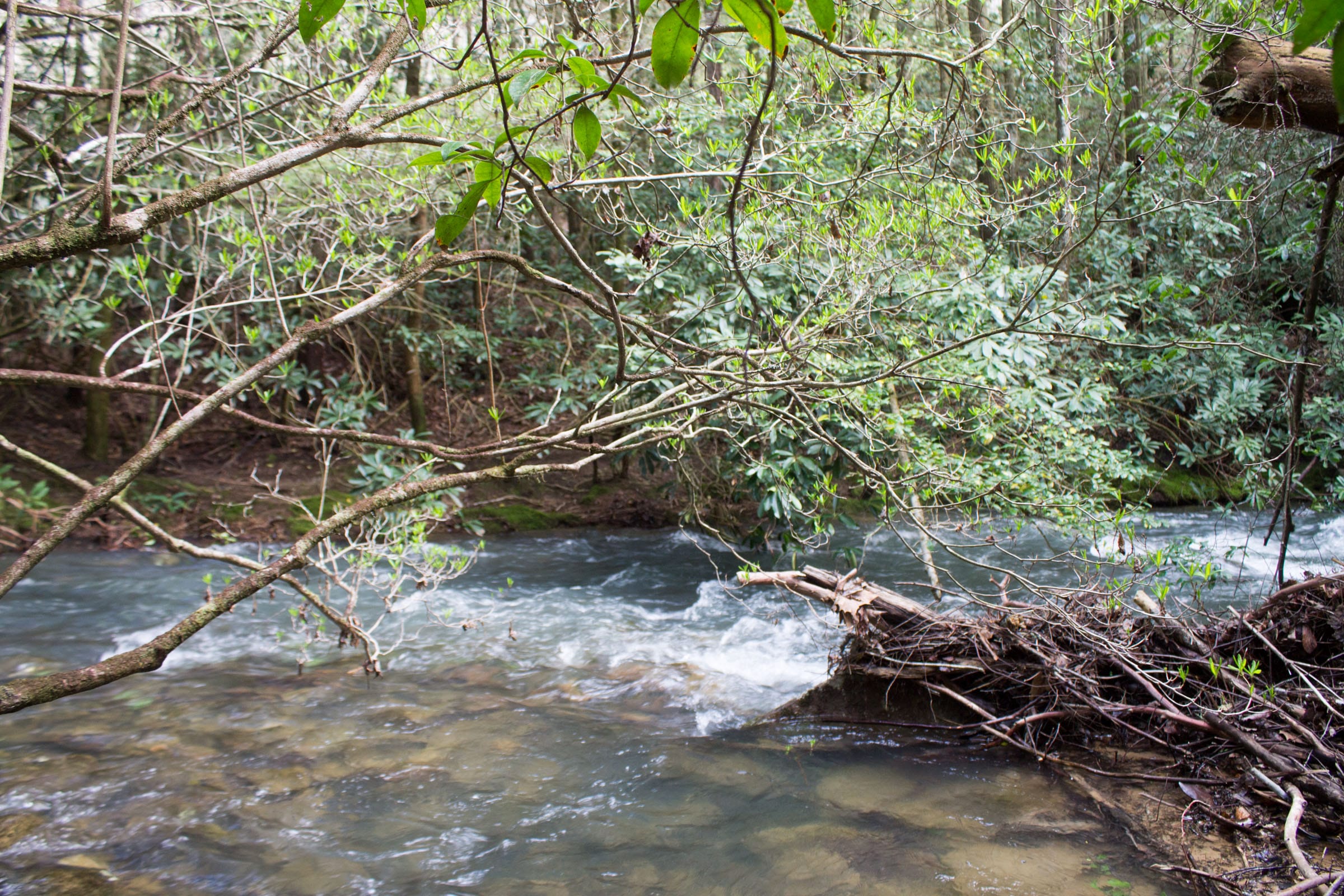 Hidden Hills Tract 29 photo 22