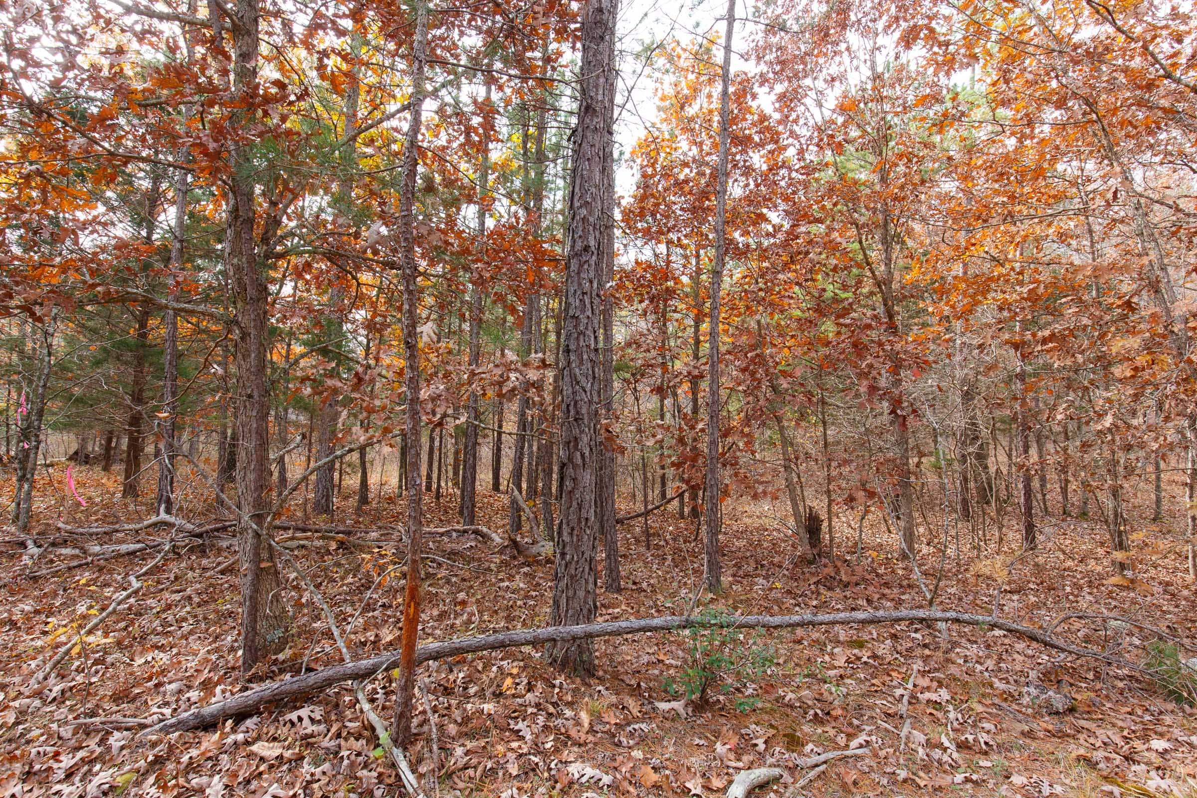 Hawkcrest Tract 45 photo 2