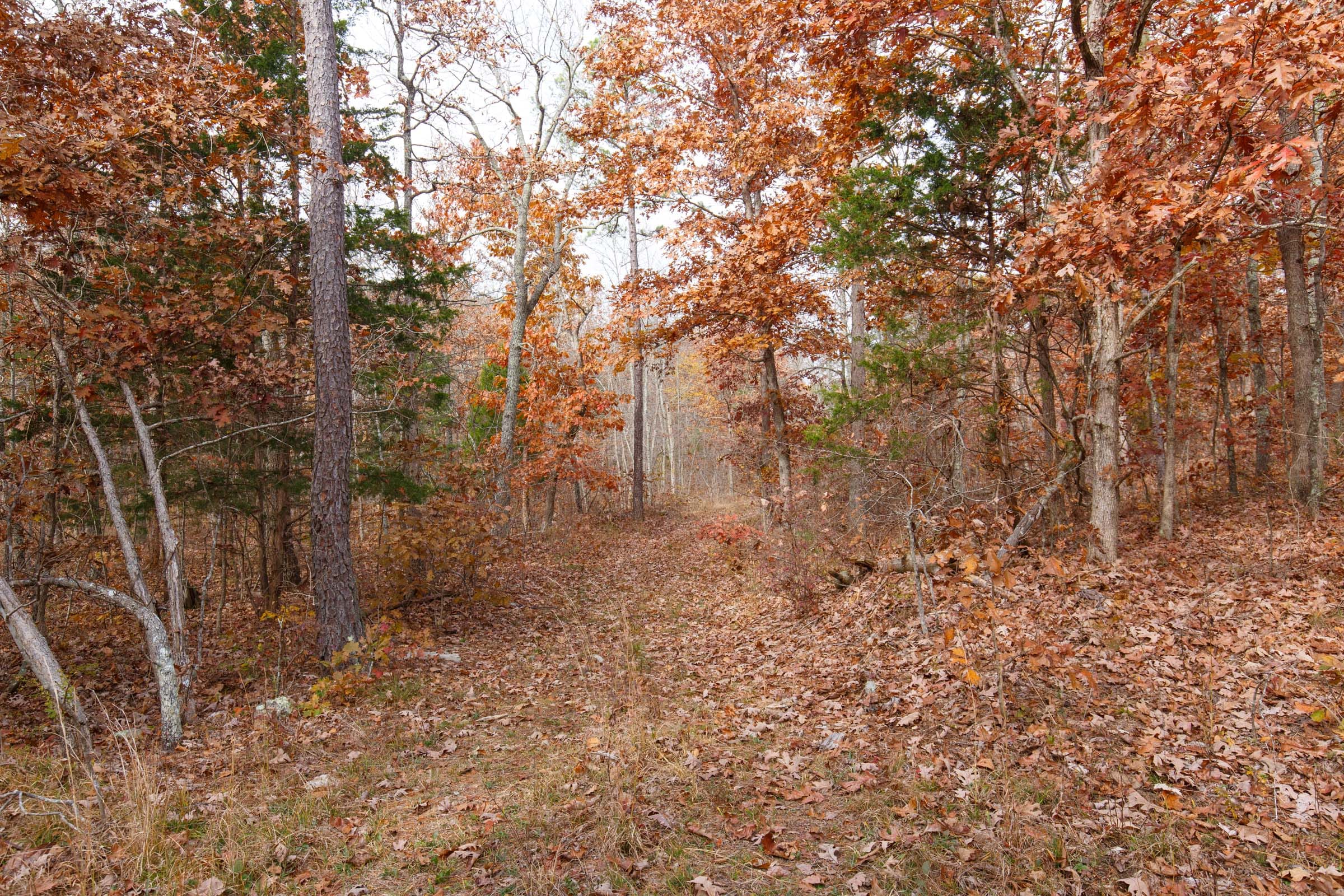 Hawkcrest Tract 45 photo 5