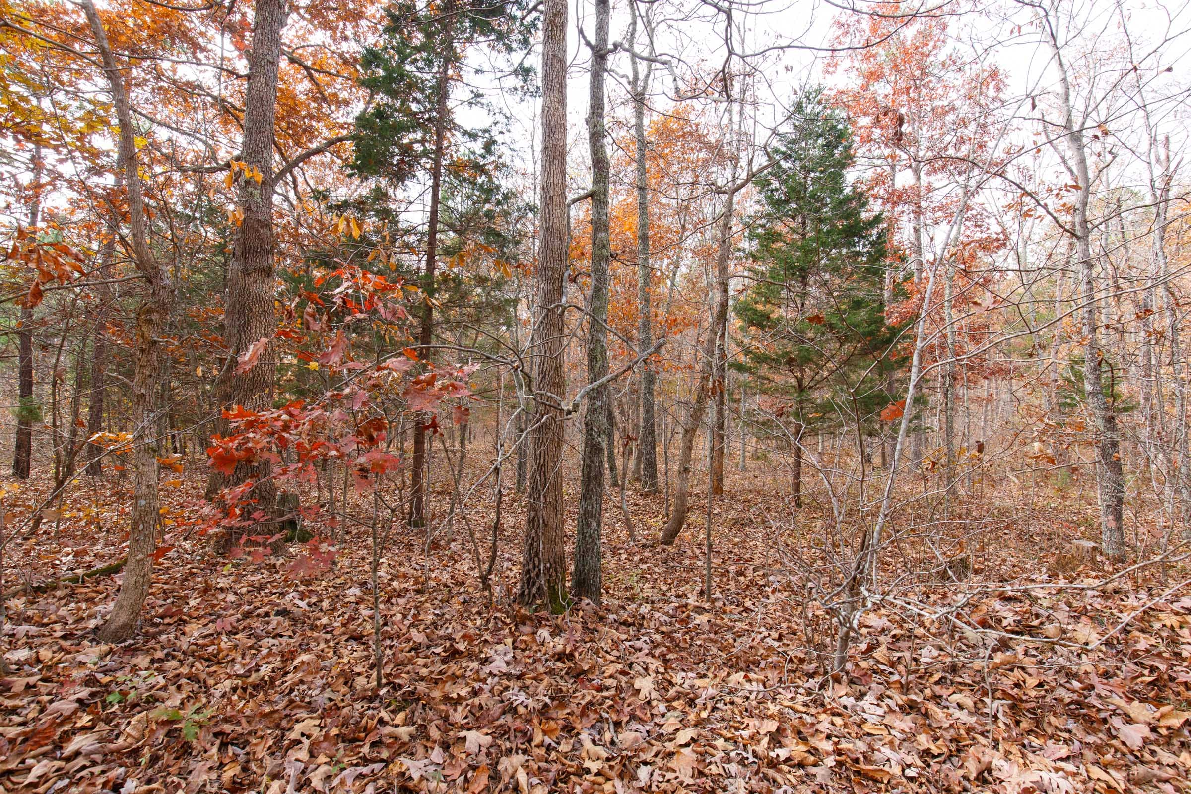 Hawkcrest Tract 45 photo 4