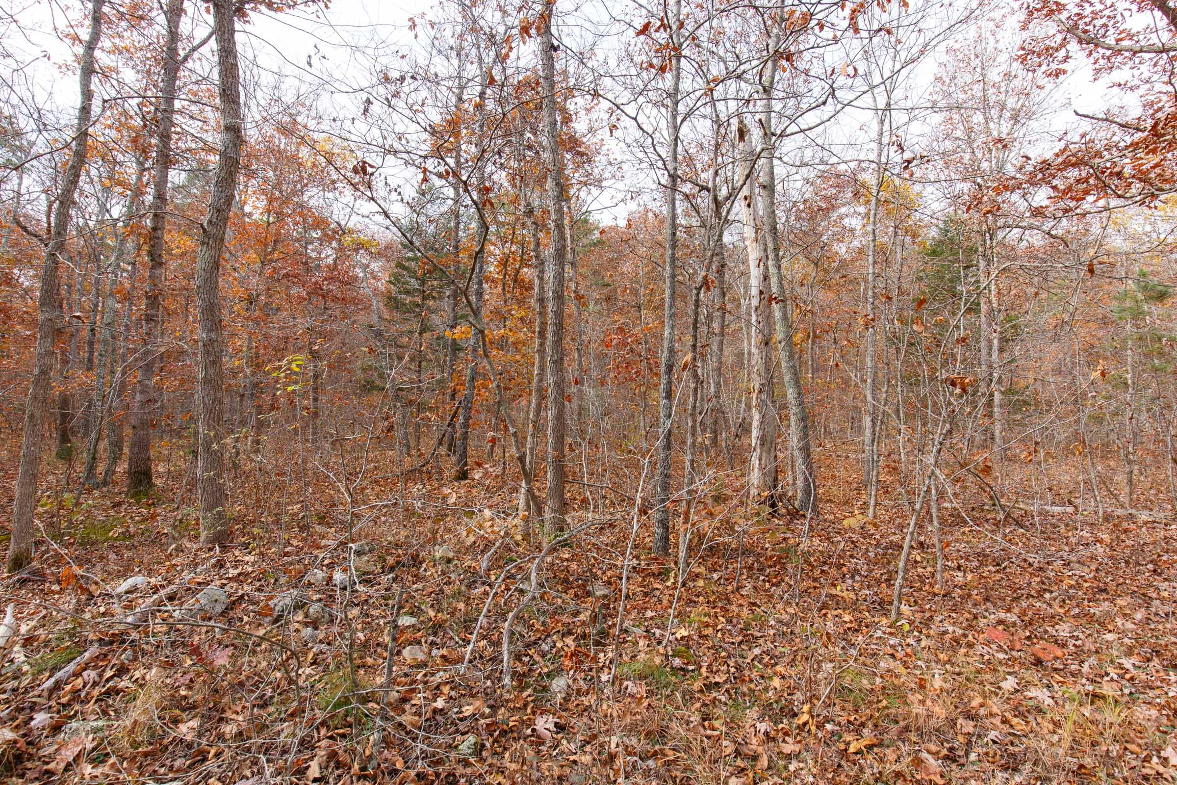 Hawkcrest Tract 45 photo 6