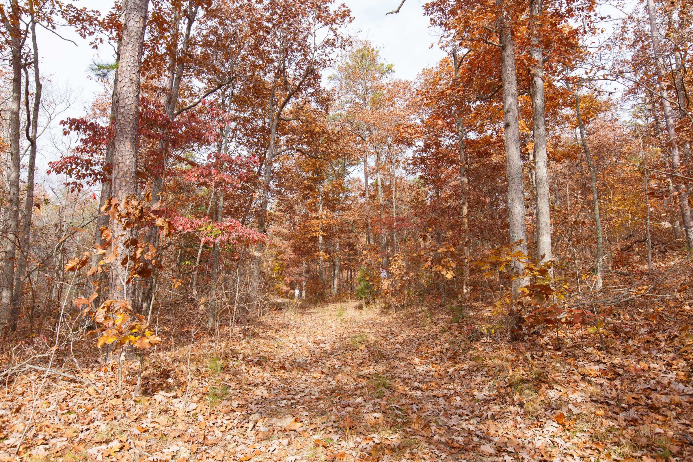 Hawkcrest Tract 45 photo 1