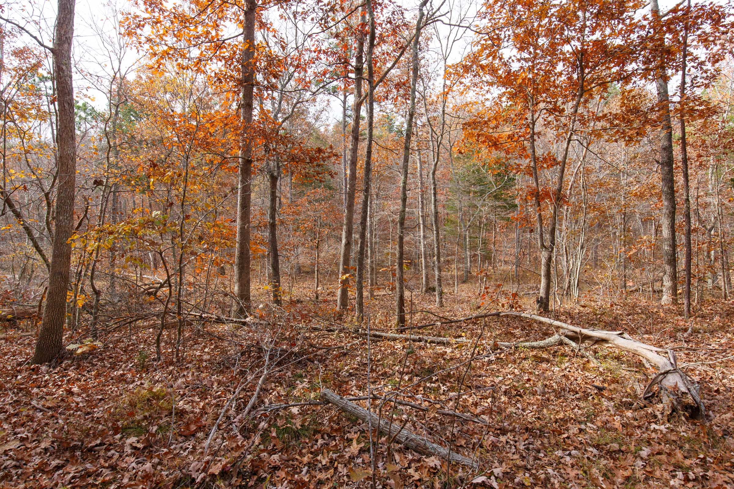 Hawkcrest Tract 45 photo 7