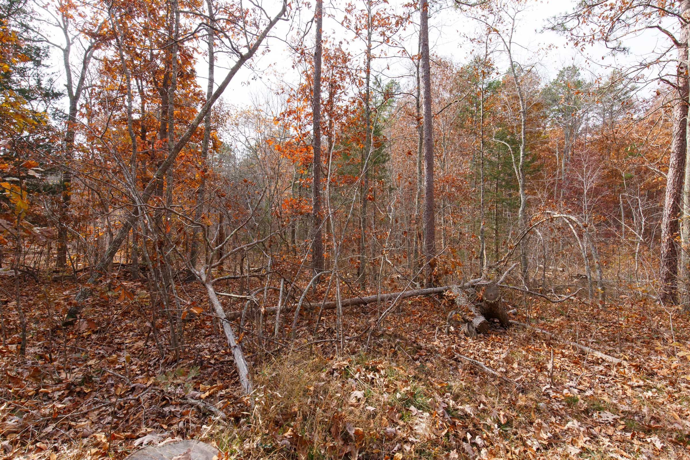 Hawkcrest Tract 45 photo 8