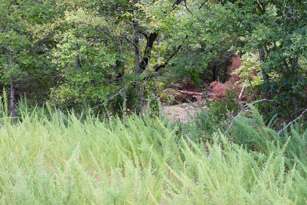 Lakeview Private Reserve Tract 1 photo 4