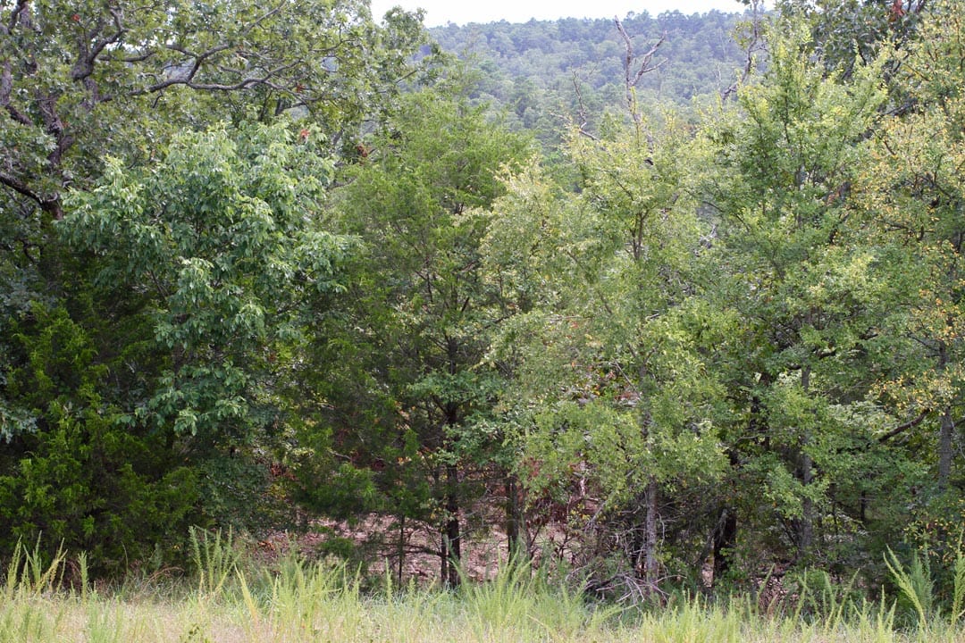 Lakeview Private Reserve Tract 1 photo 5