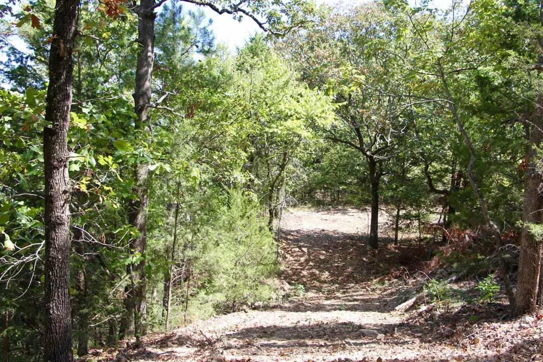Lakeview Private Reserve Tract 1 photo 7