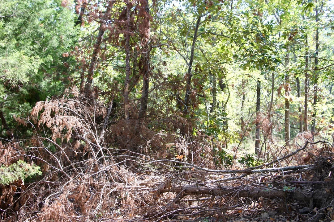 Lakeview Private Reserve Tract 1 photo 8