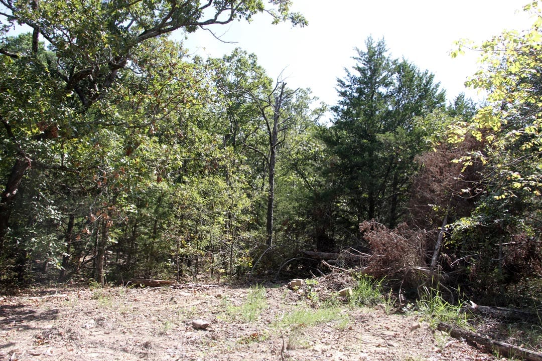 Lakeview Private Reserve Tract 1 photo 9