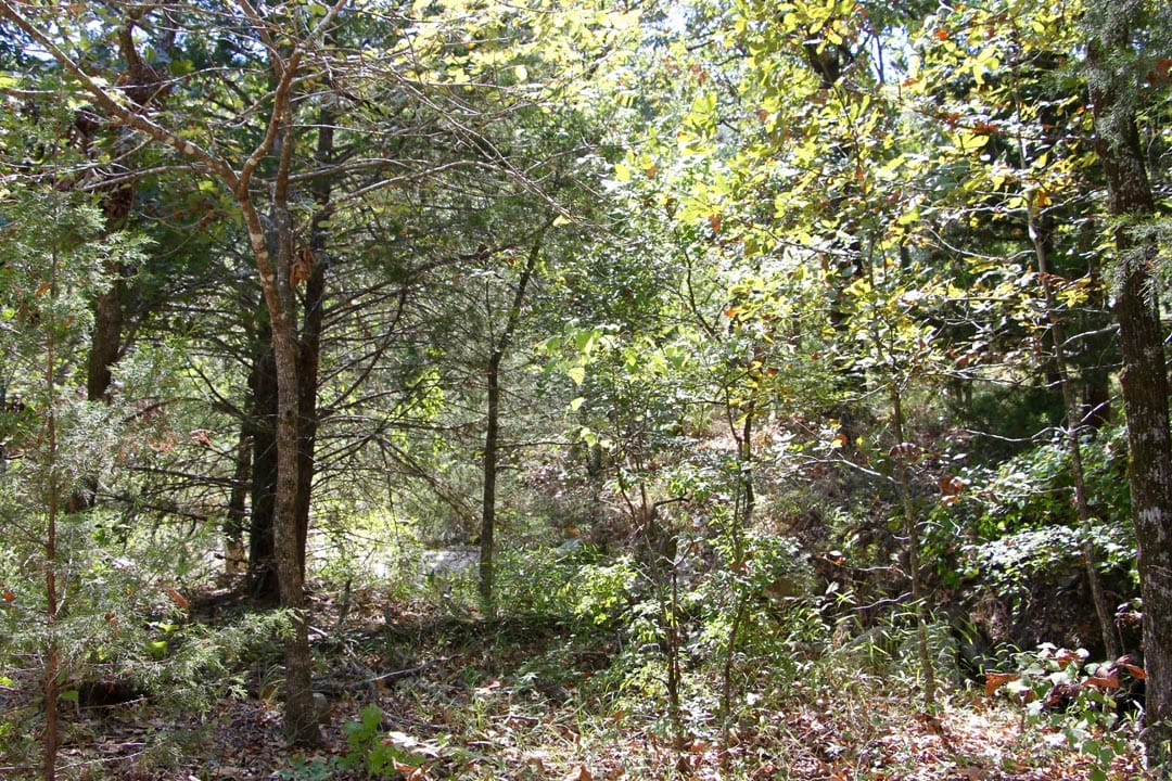 Lakeview Private Reserve Tract 1 photo 10