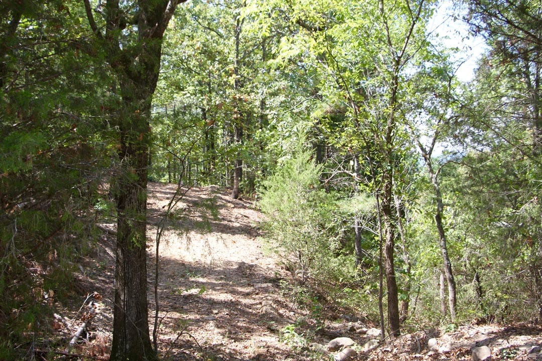 Lakeview Private Reserve Tract 1 photo 11