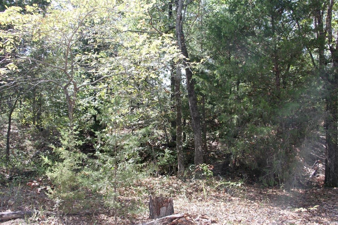 Lakeview Private Reserve Tract 1 photo 12