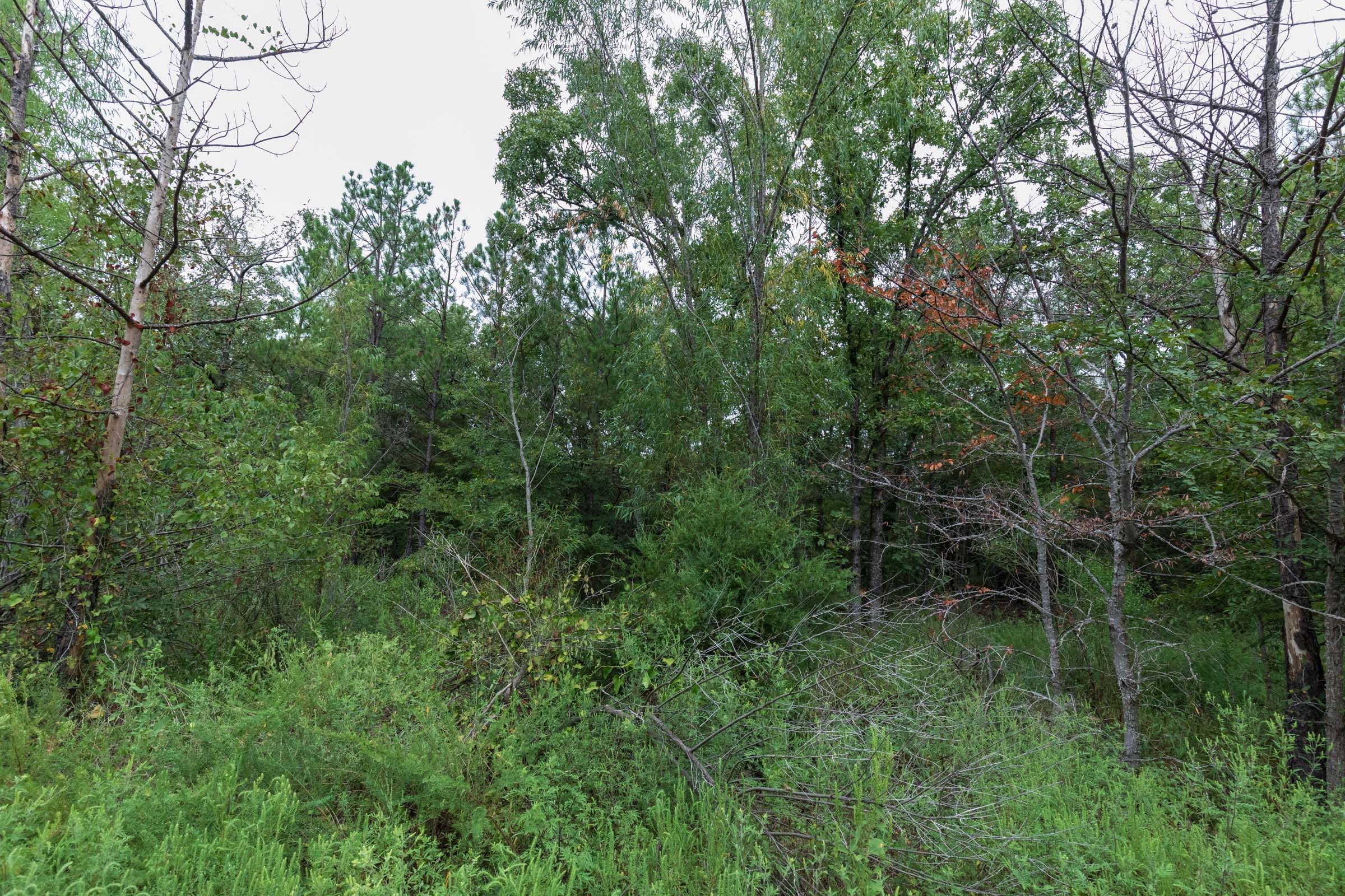 Stone Bridge Phase V Tract 331 photo 10