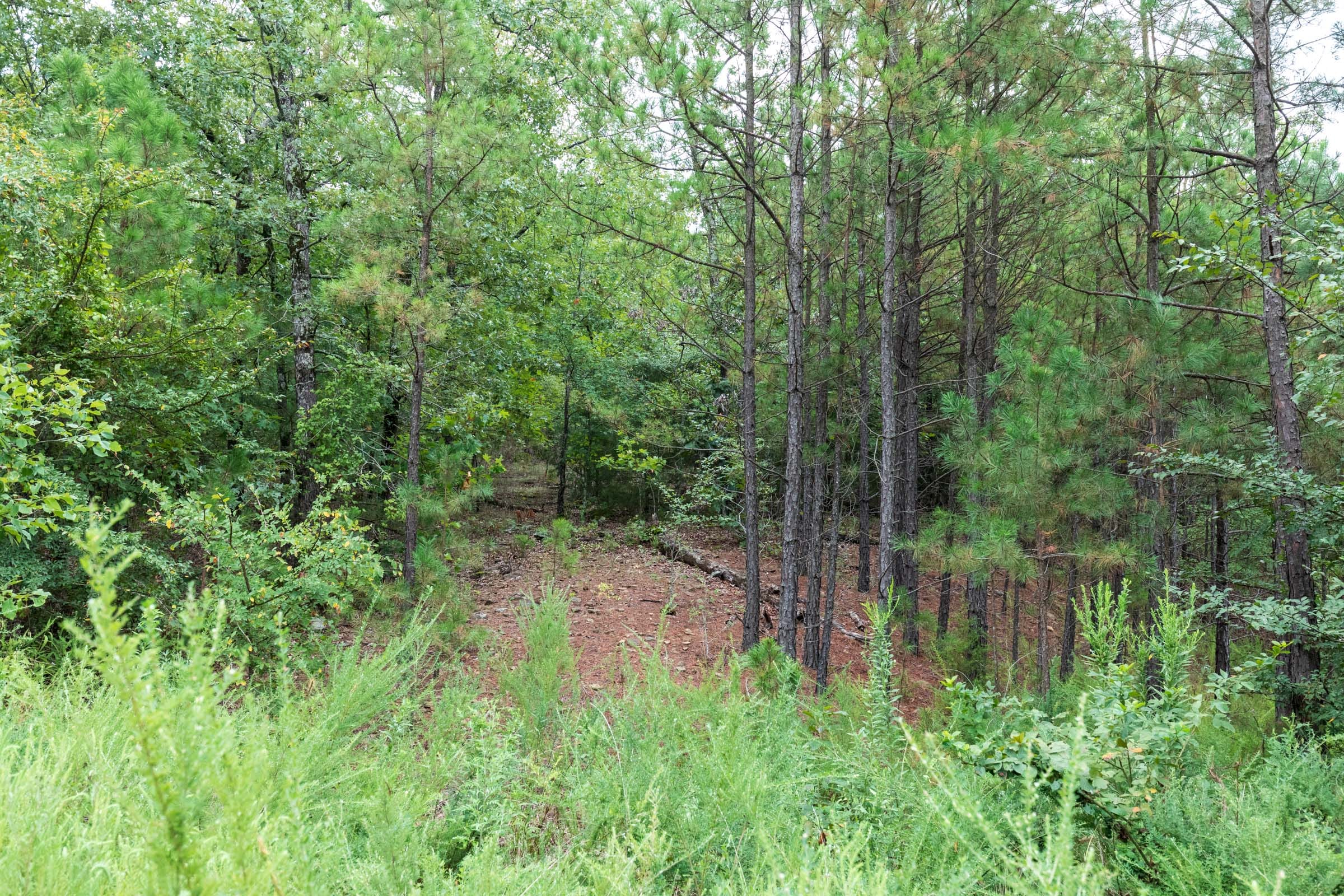 Stone Bridge Phase V Tract 331 photo 5
