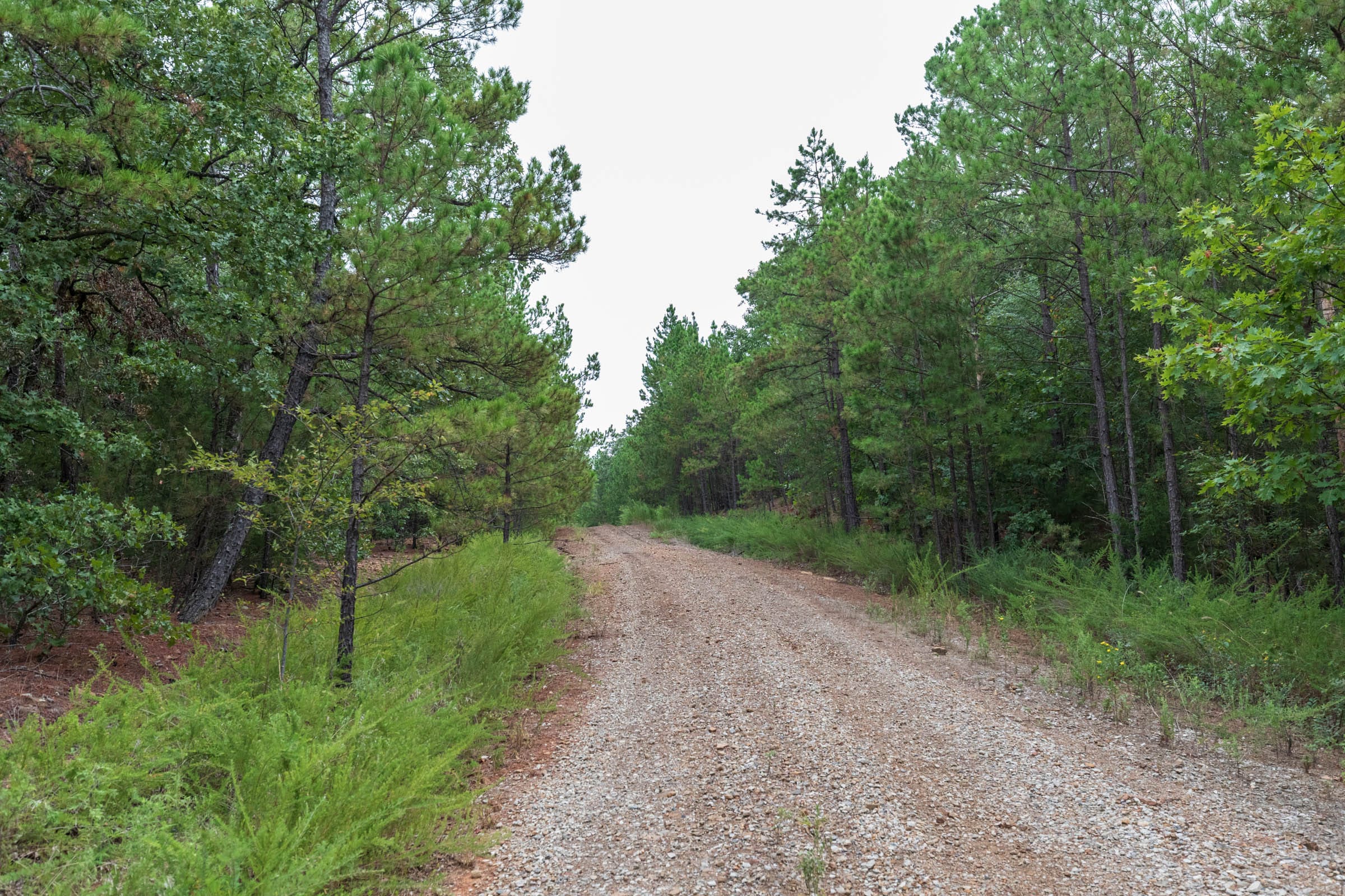 Stone Bridge Phase V Tract 331 photo 1