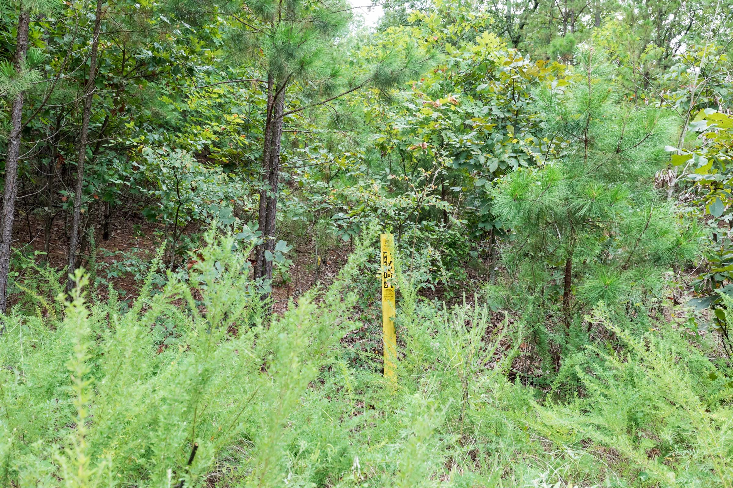 Stone Bridge Phase V Tract 331 photo 16