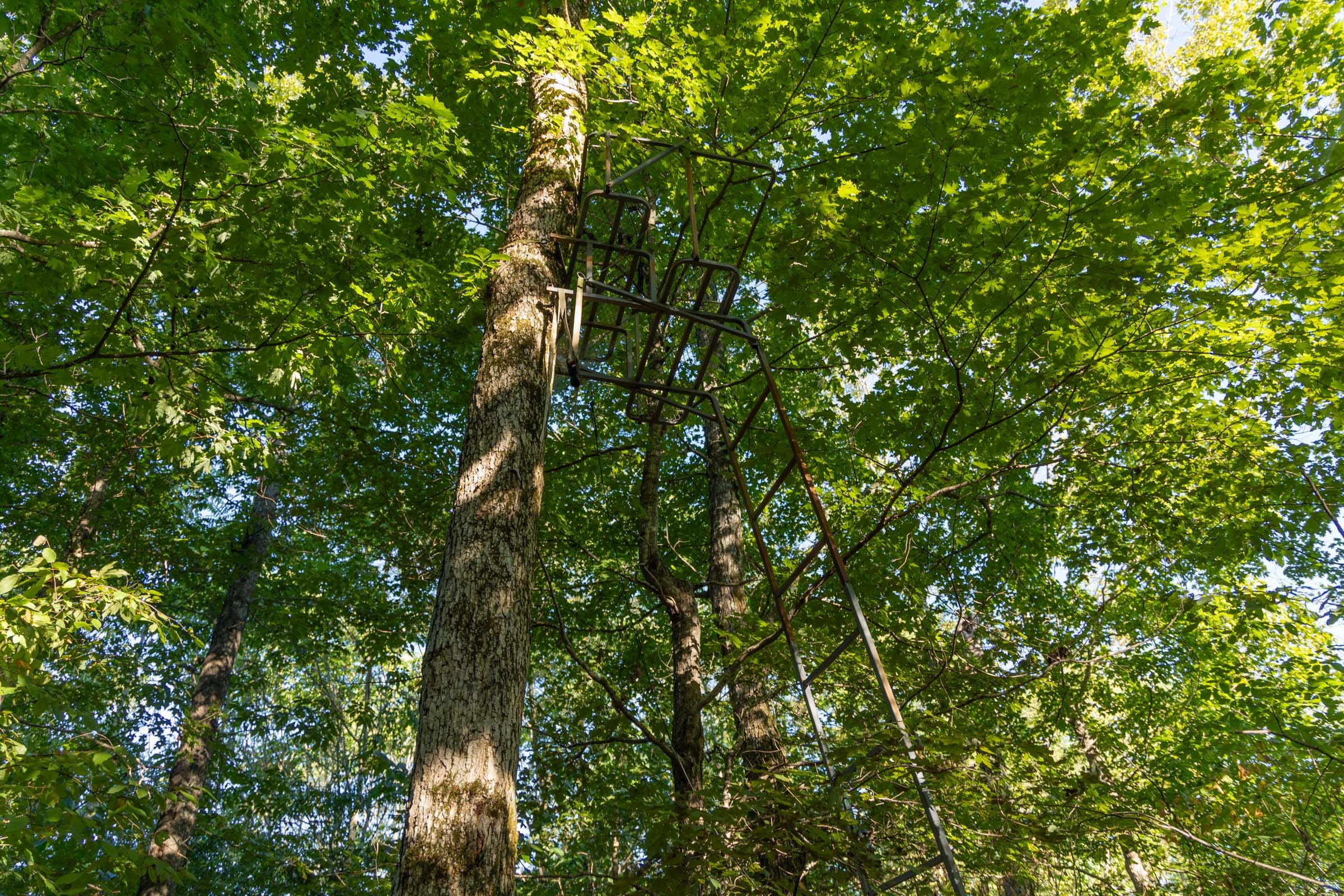 Big White Oak Tract 109 photo 8