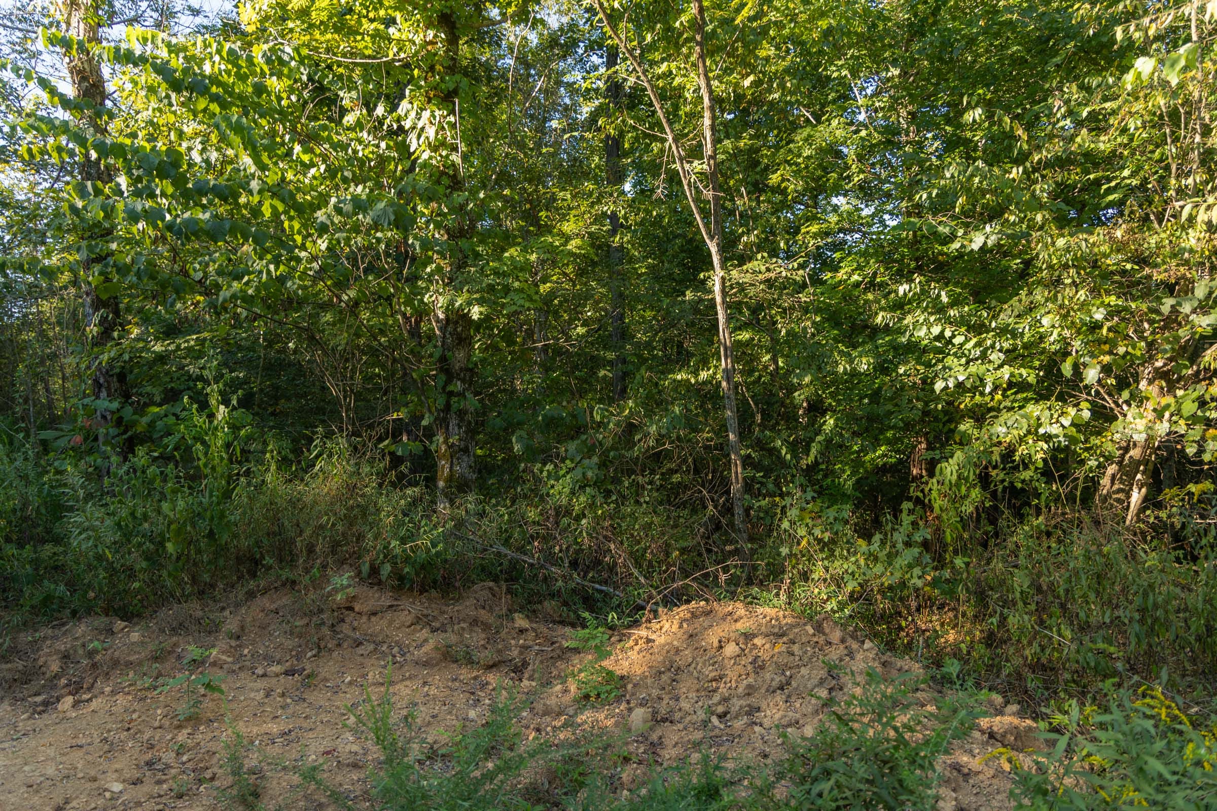 Big White Oak Tract 109 photo 7
