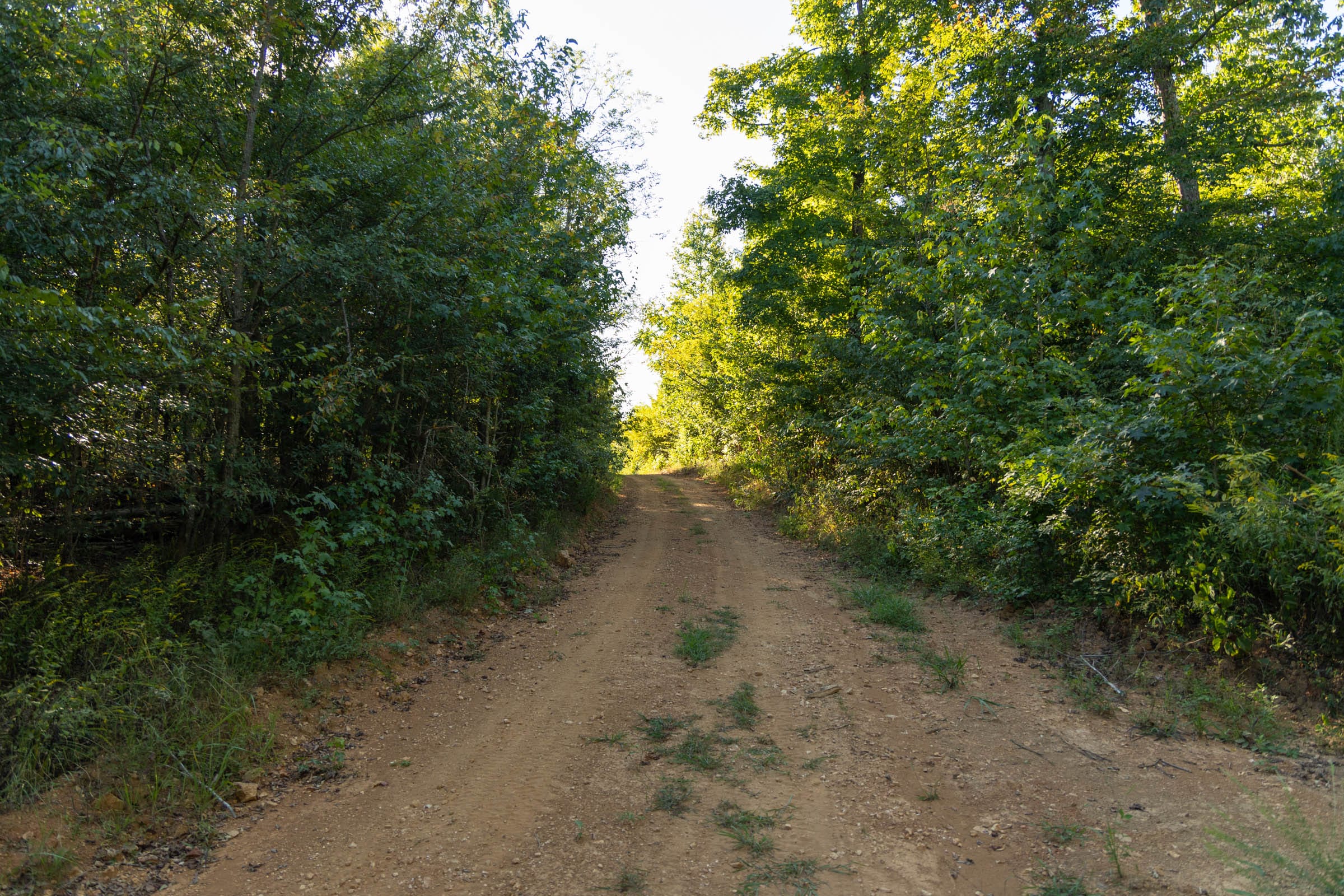 Big White Oak Tract 109 photo 2