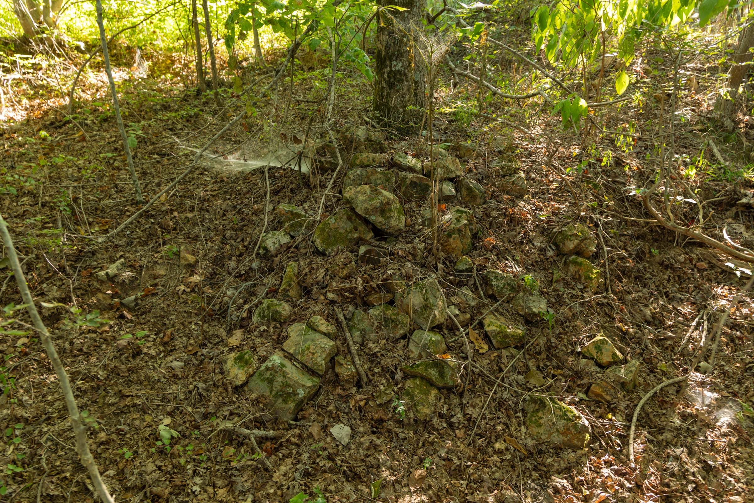 Big White Oak Tract 109 photo 6