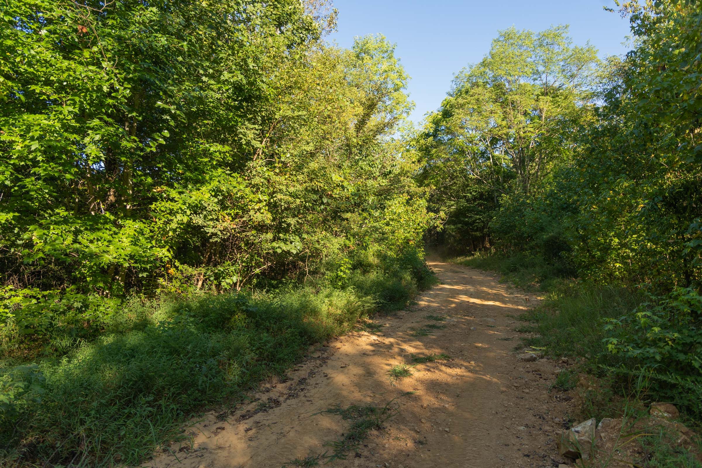 Big White Oak Tract 109 photo 1