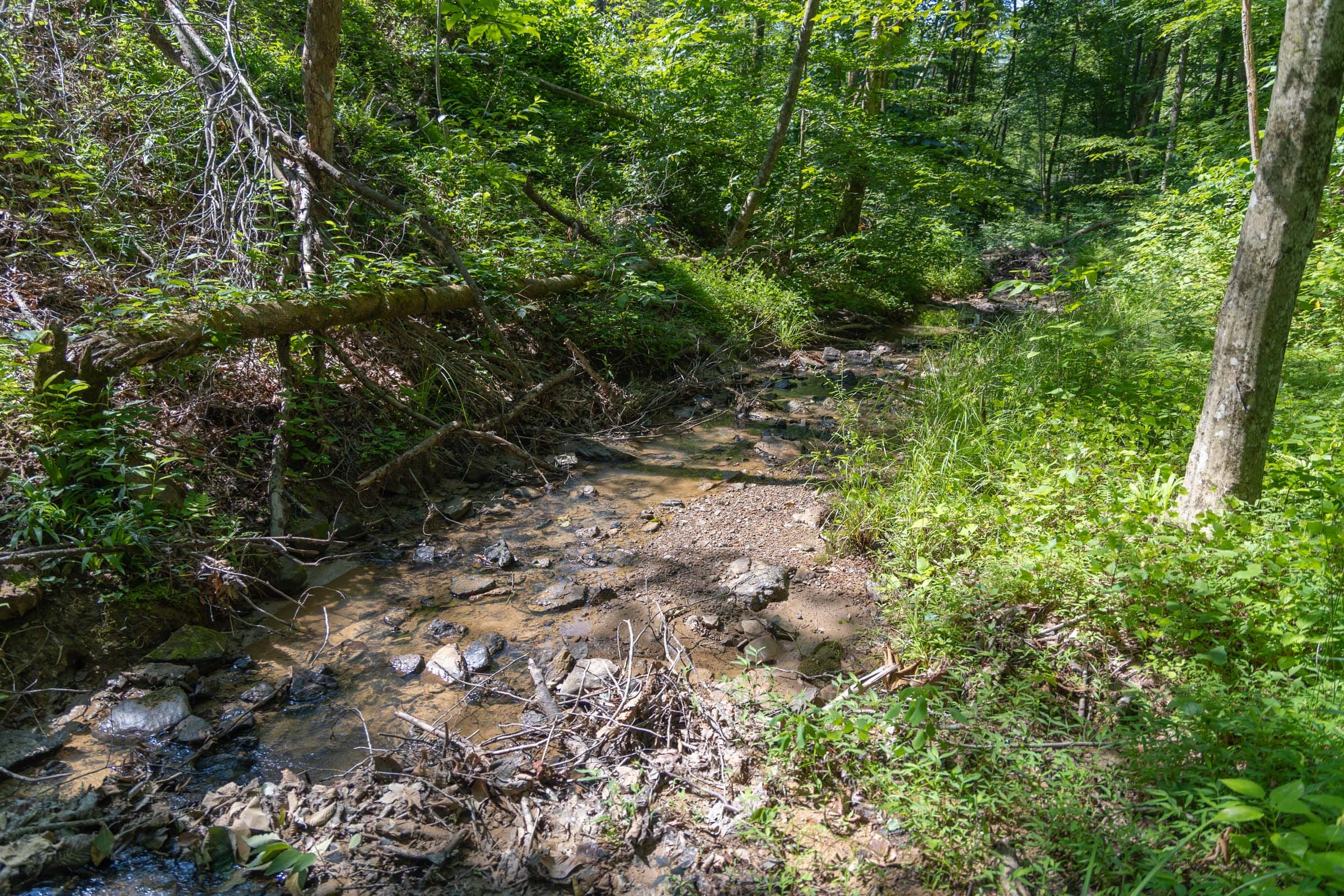Creek Hollow Phase II Tract 73 photo 23