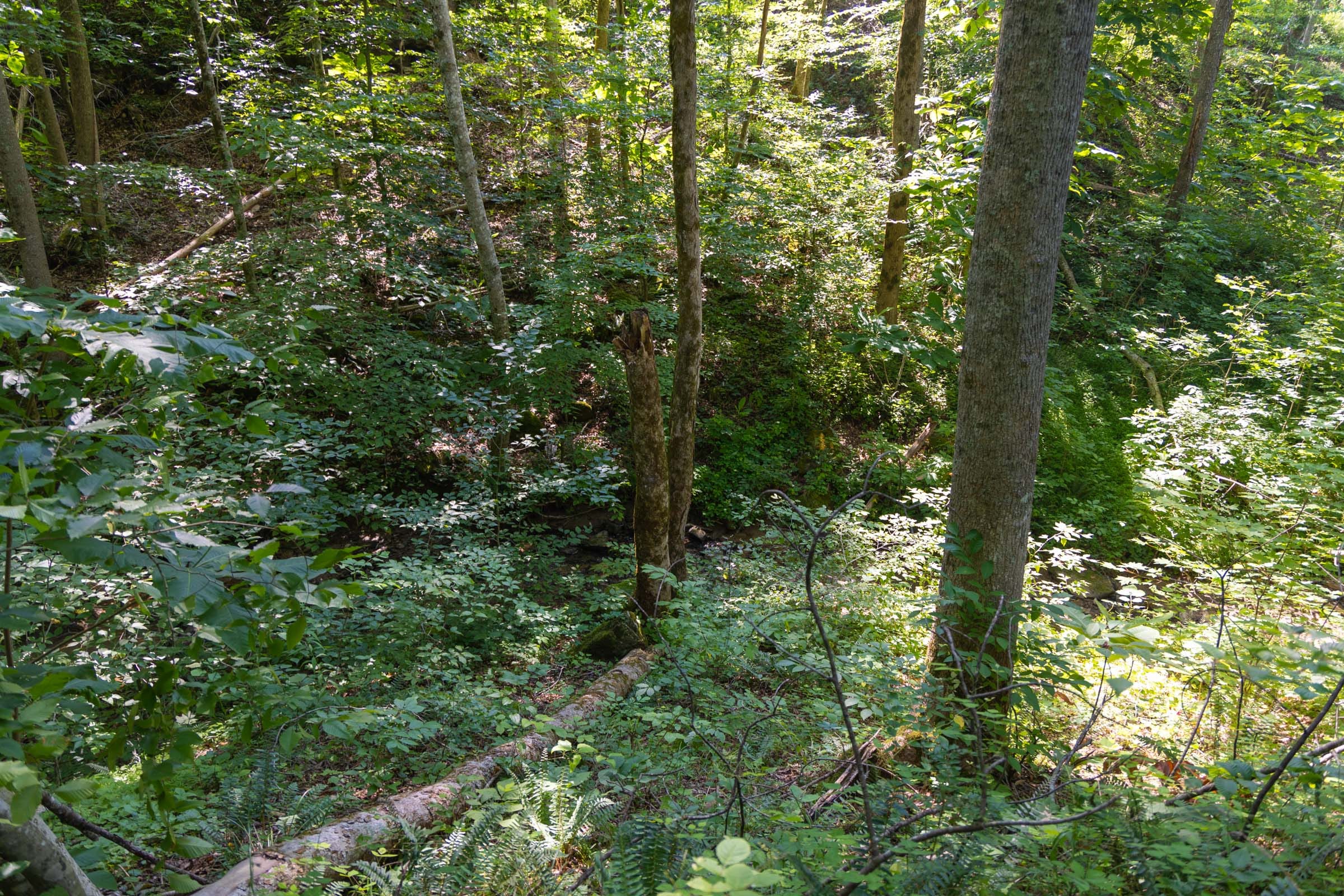 Creek Hollow Phase II Tract 73 photo 22