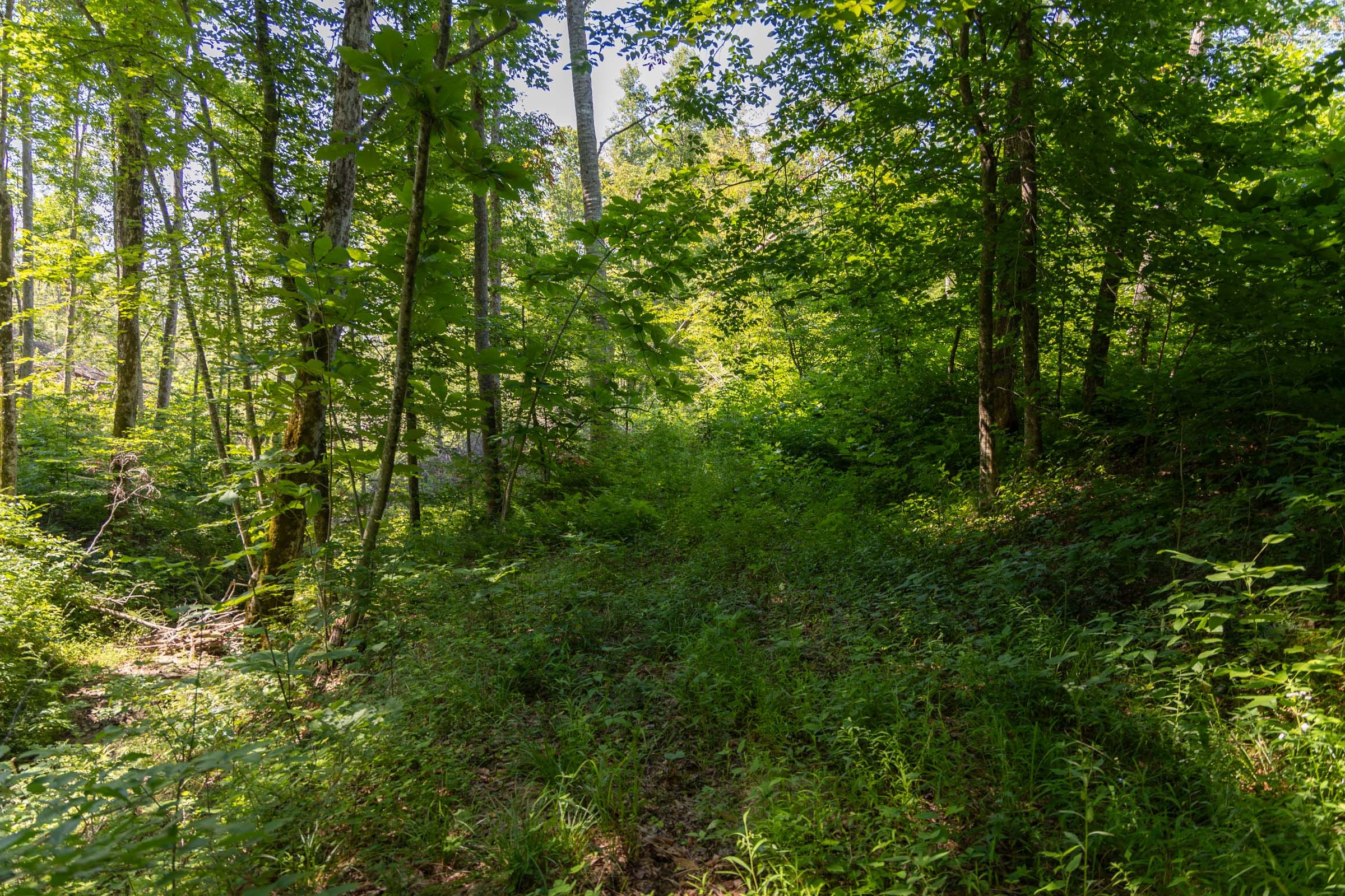 Creek Hollow Phase II Tract 73 photo 21