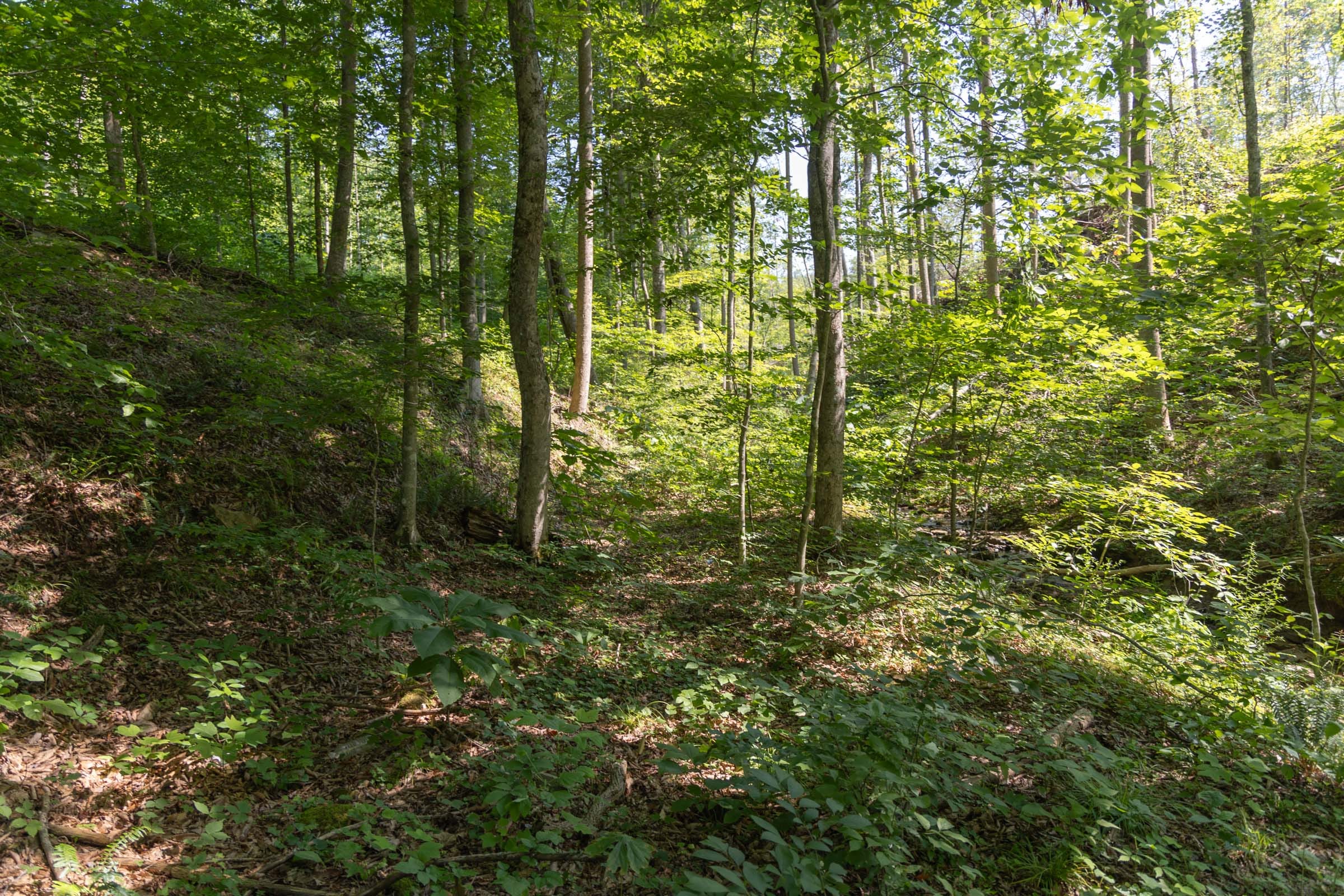Creek Hollow Phase II Tract 73 photo 20