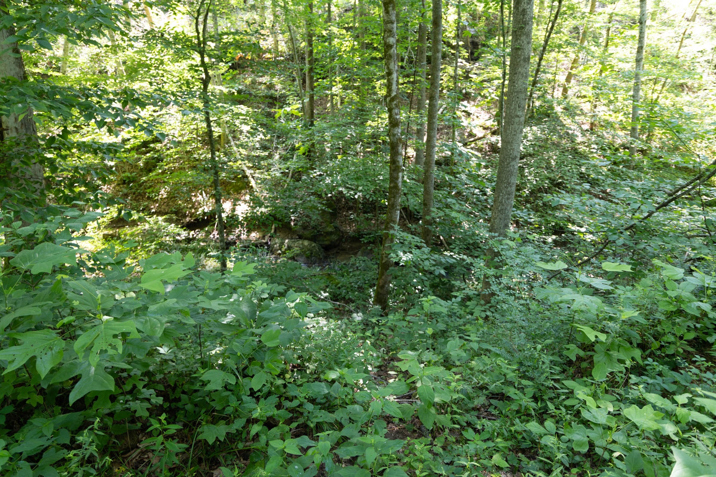Creek Hollow Phase II Tract 73 photo 19