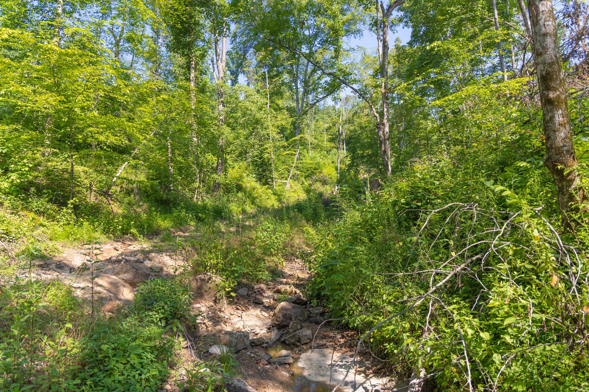Creek Hollow Phase II Tract 73 photo 18
