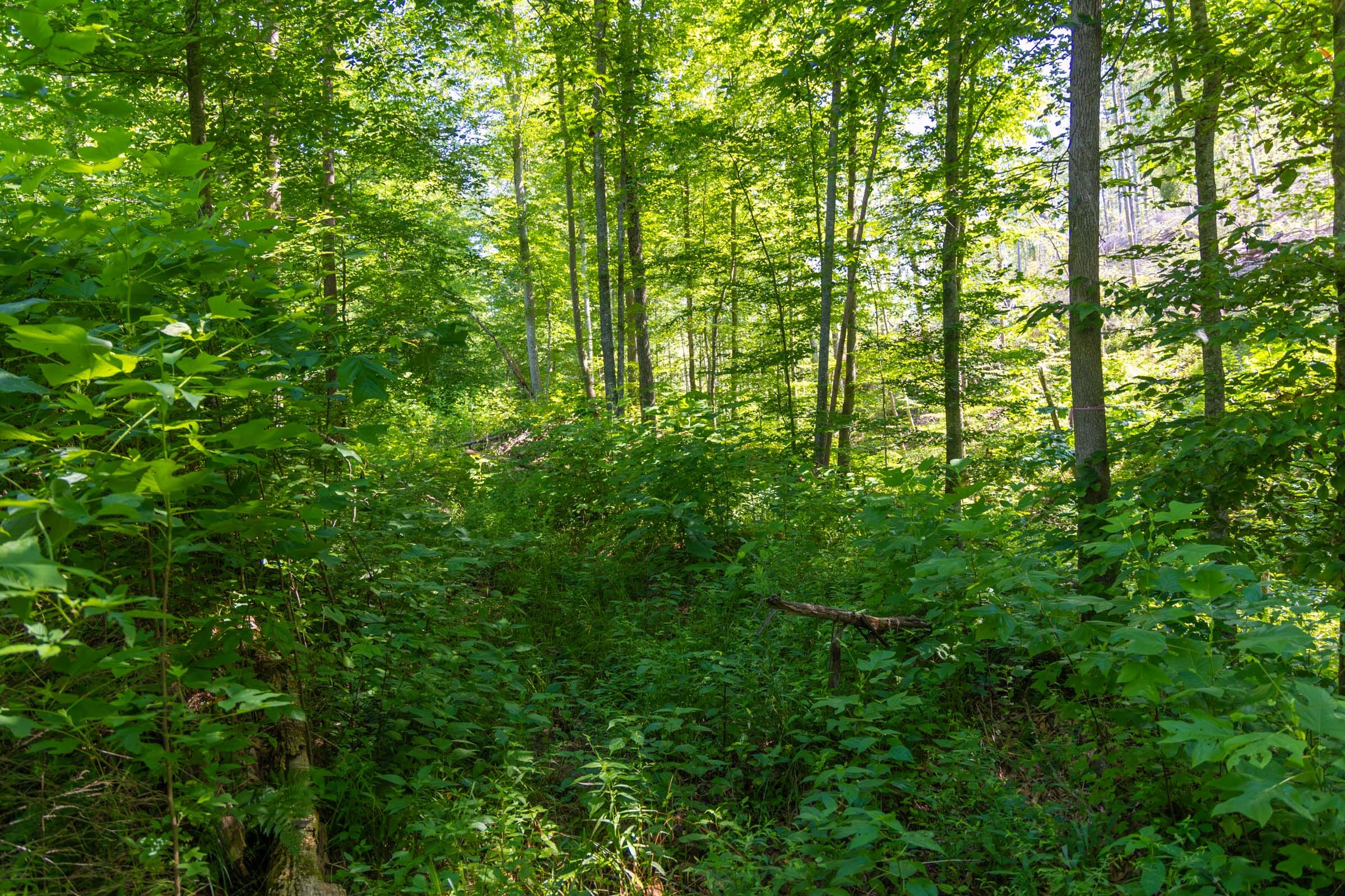Creek Hollow Phase II Tract 73 photo 17
