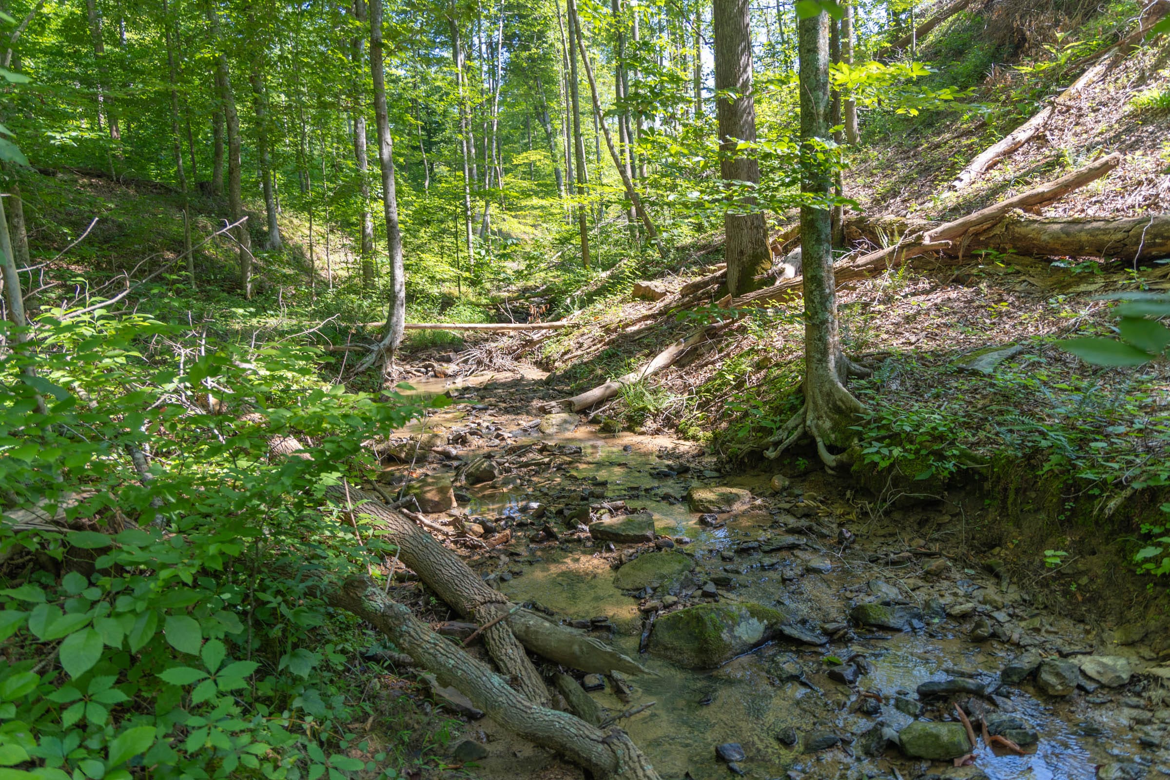 Creek Hollow Phase II Tract 73 photo 16