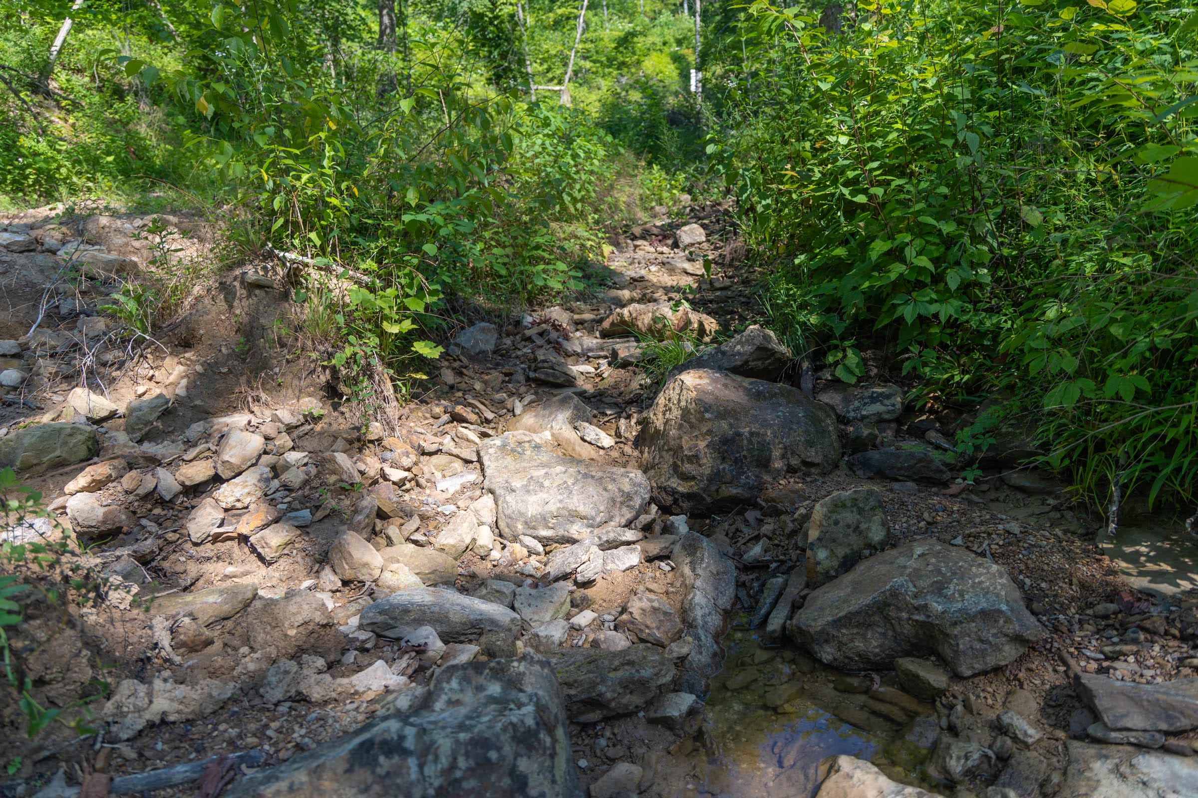 Creek Hollow Phase II Tract 73 photo 15