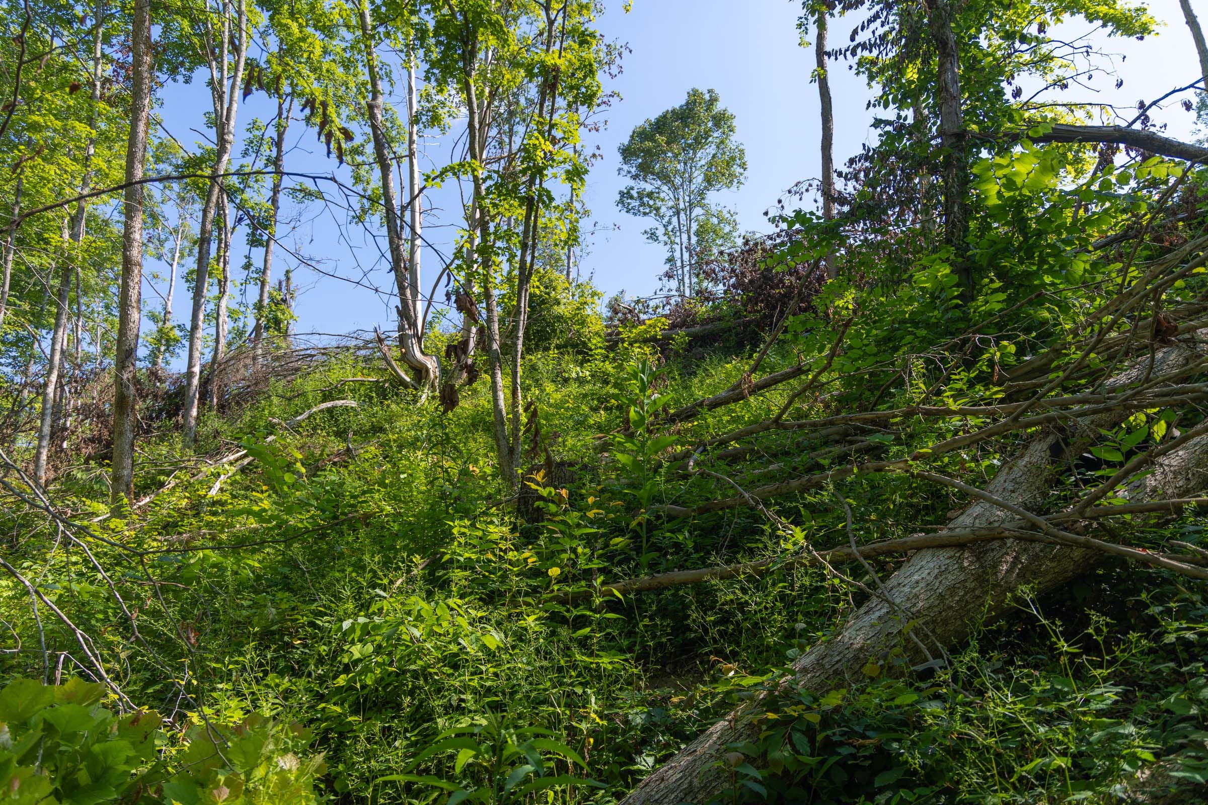 Creek Hollow Phase II Tract 73 photo 14