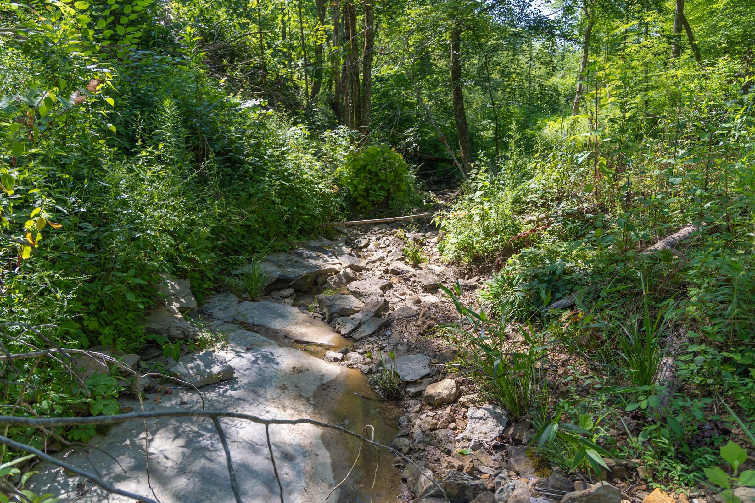 Creek Hollow Phase II Tract 73 photo 12
