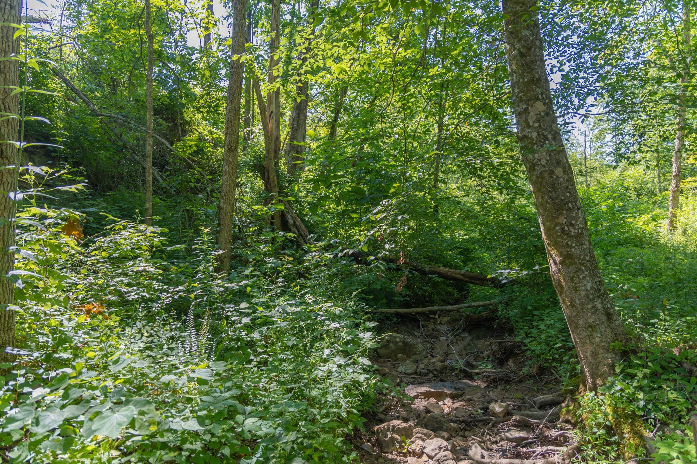 Creek Hollow Phase II Tract 73 photo 11