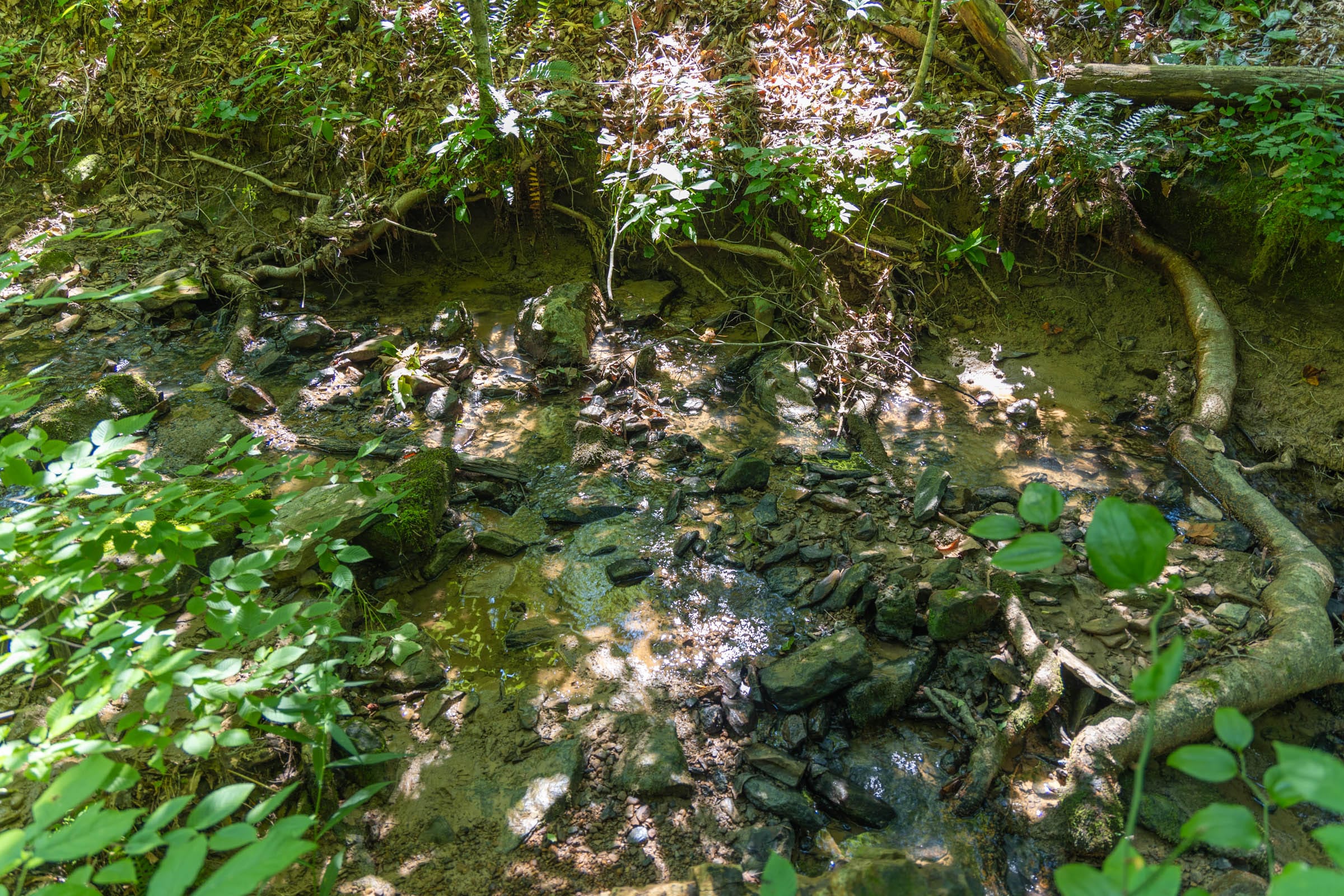 Creek Hollow Phase II Tract 73 photo 10