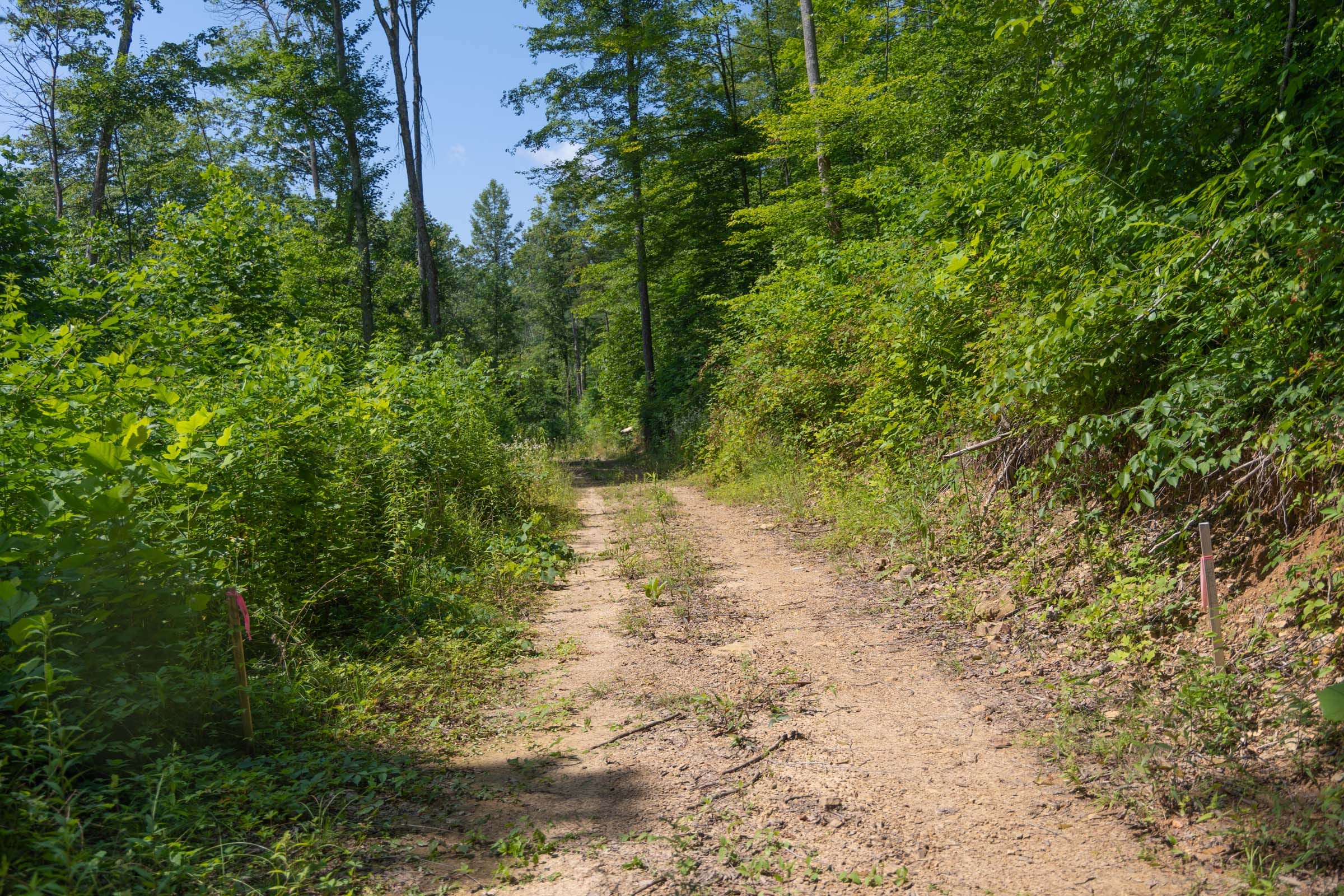 Creek Hollow Phase II Tract 73 photo 2