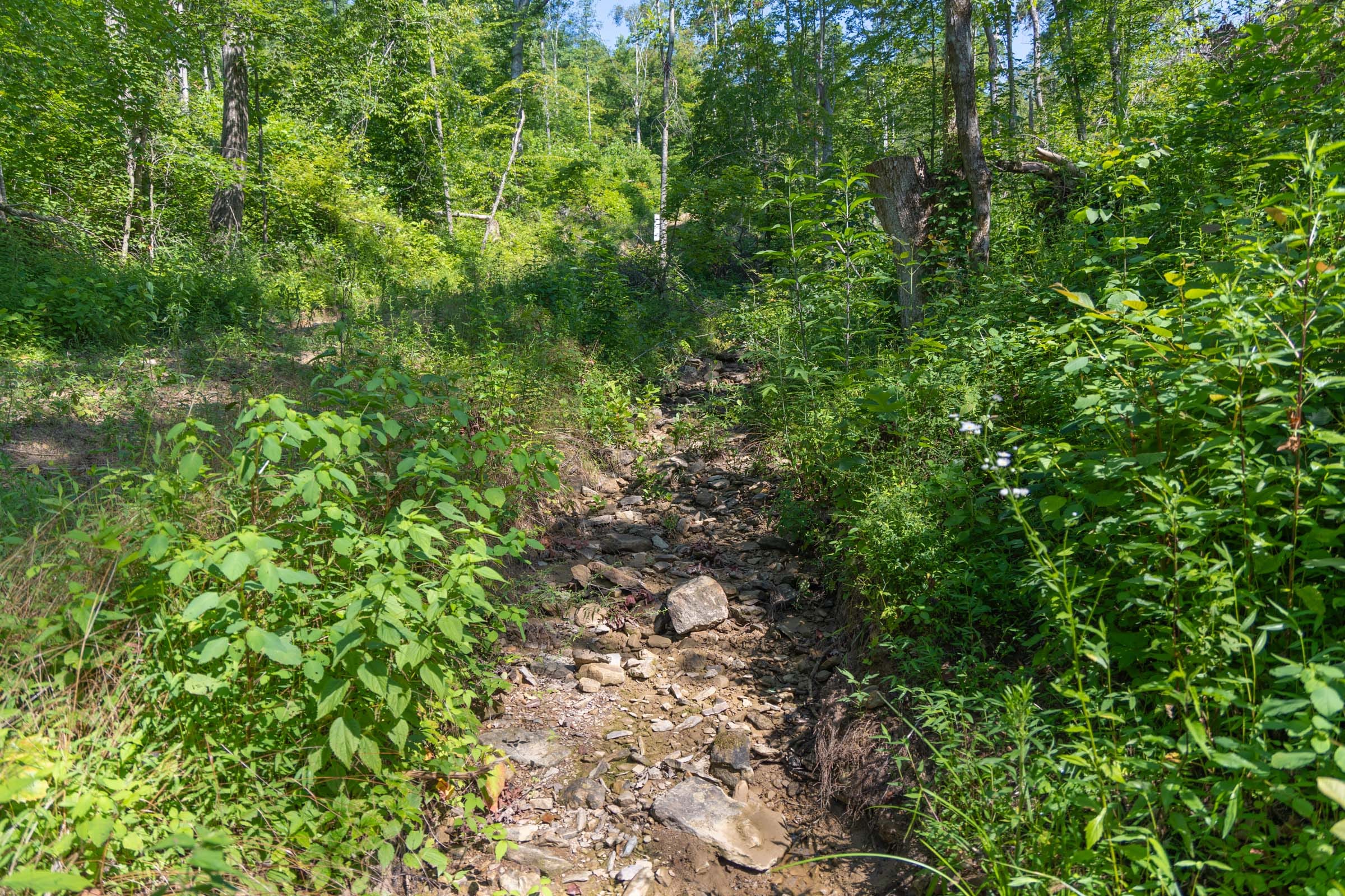 Creek Hollow Phase II Tract 73 photo 9