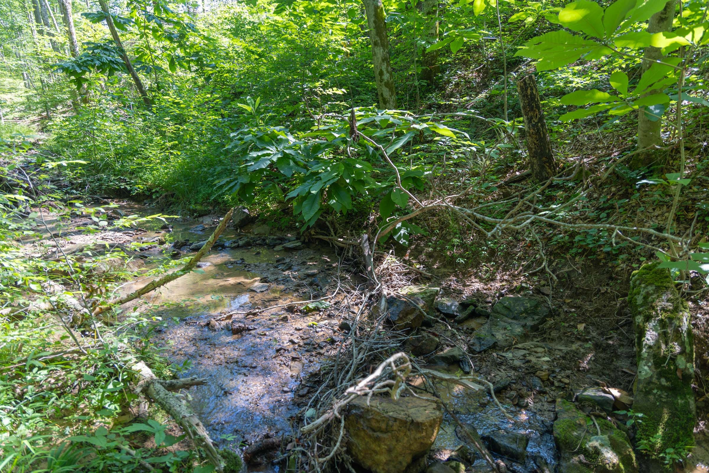 Creek Hollow Phase II Tract 73 photo 8