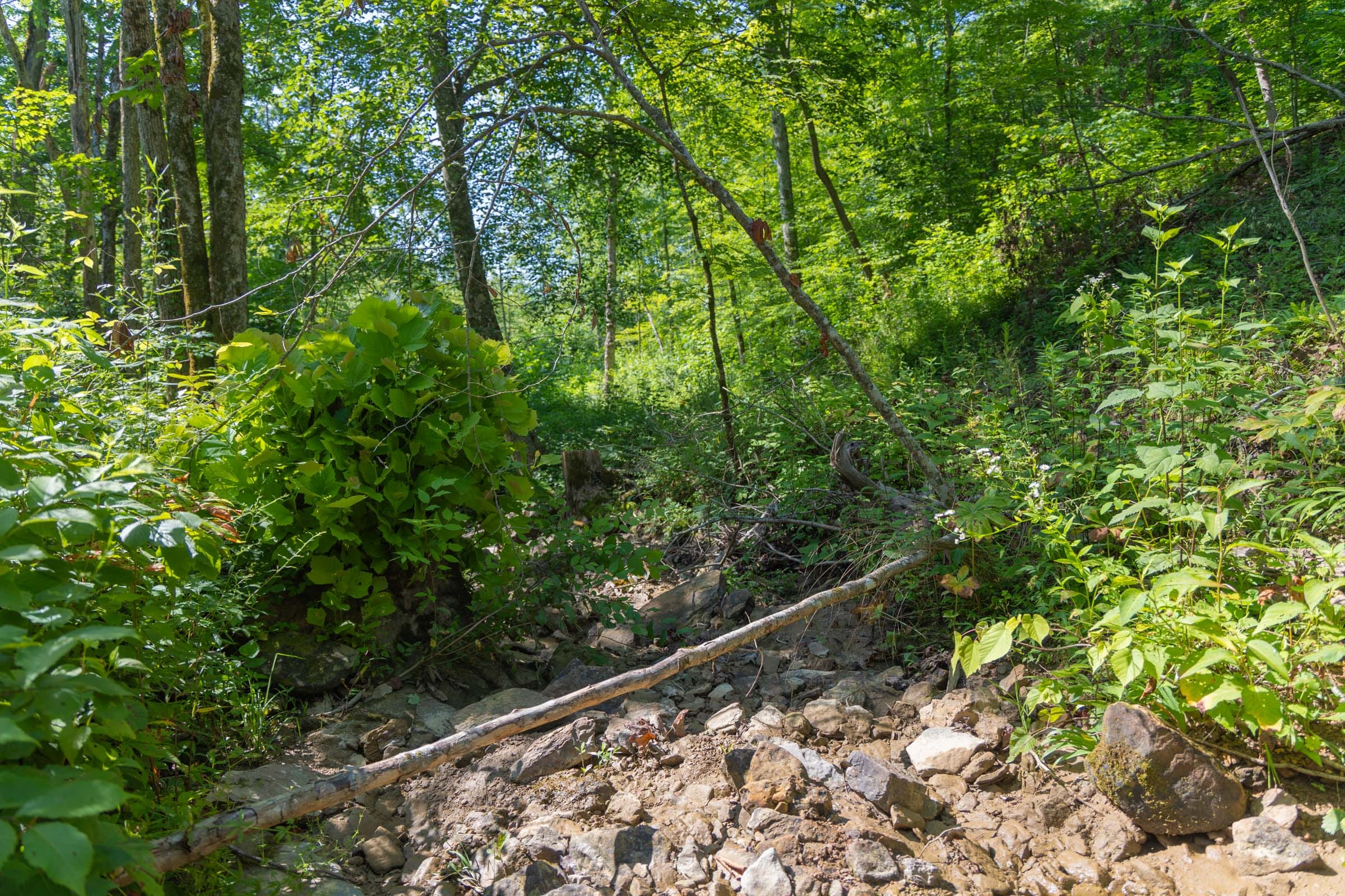 Creek Hollow Phase II Tract 73 photo 7