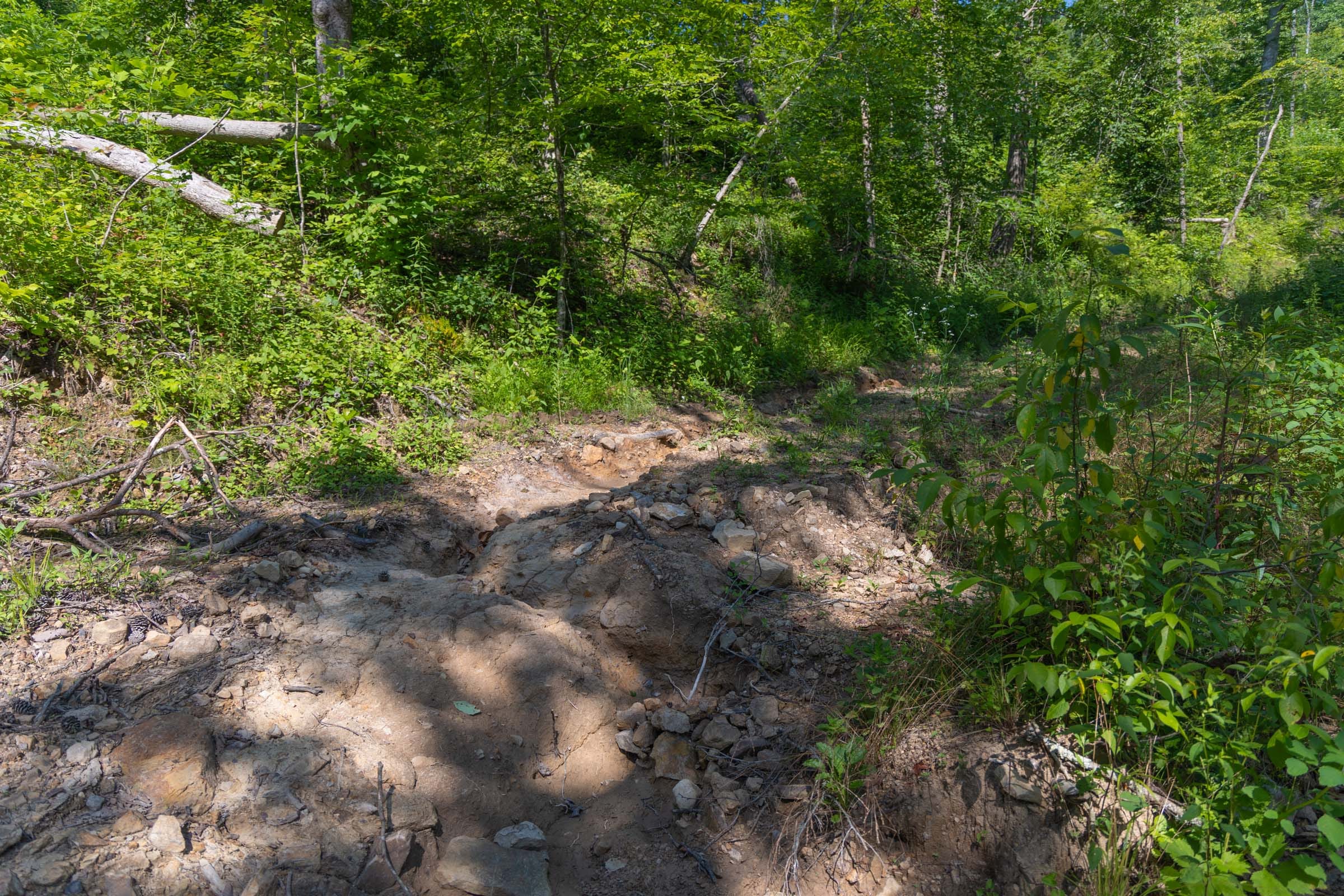Creek Hollow Phase II Tract 73 photo 6