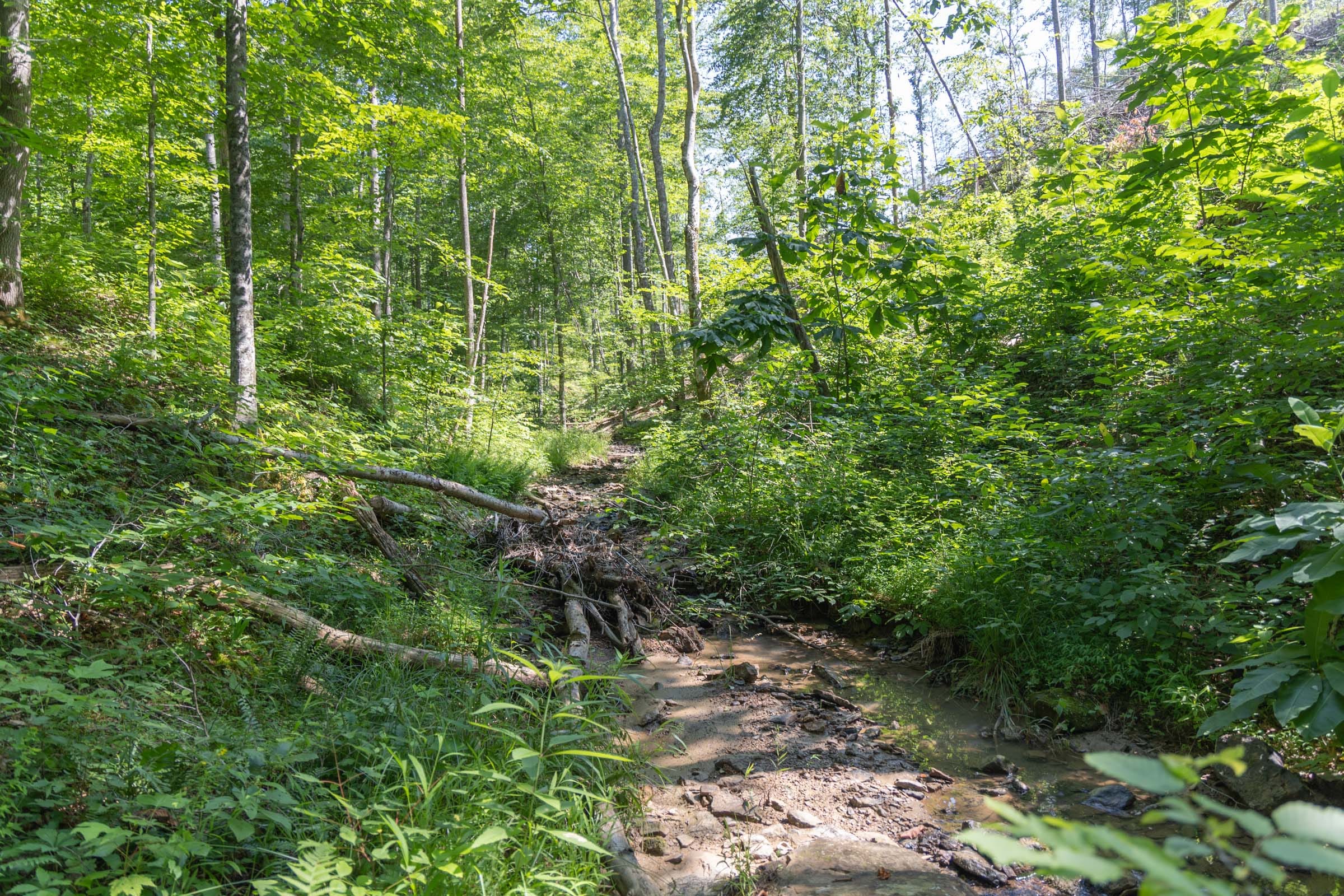 Creek Hollow Phase II Tract 73 photo 5