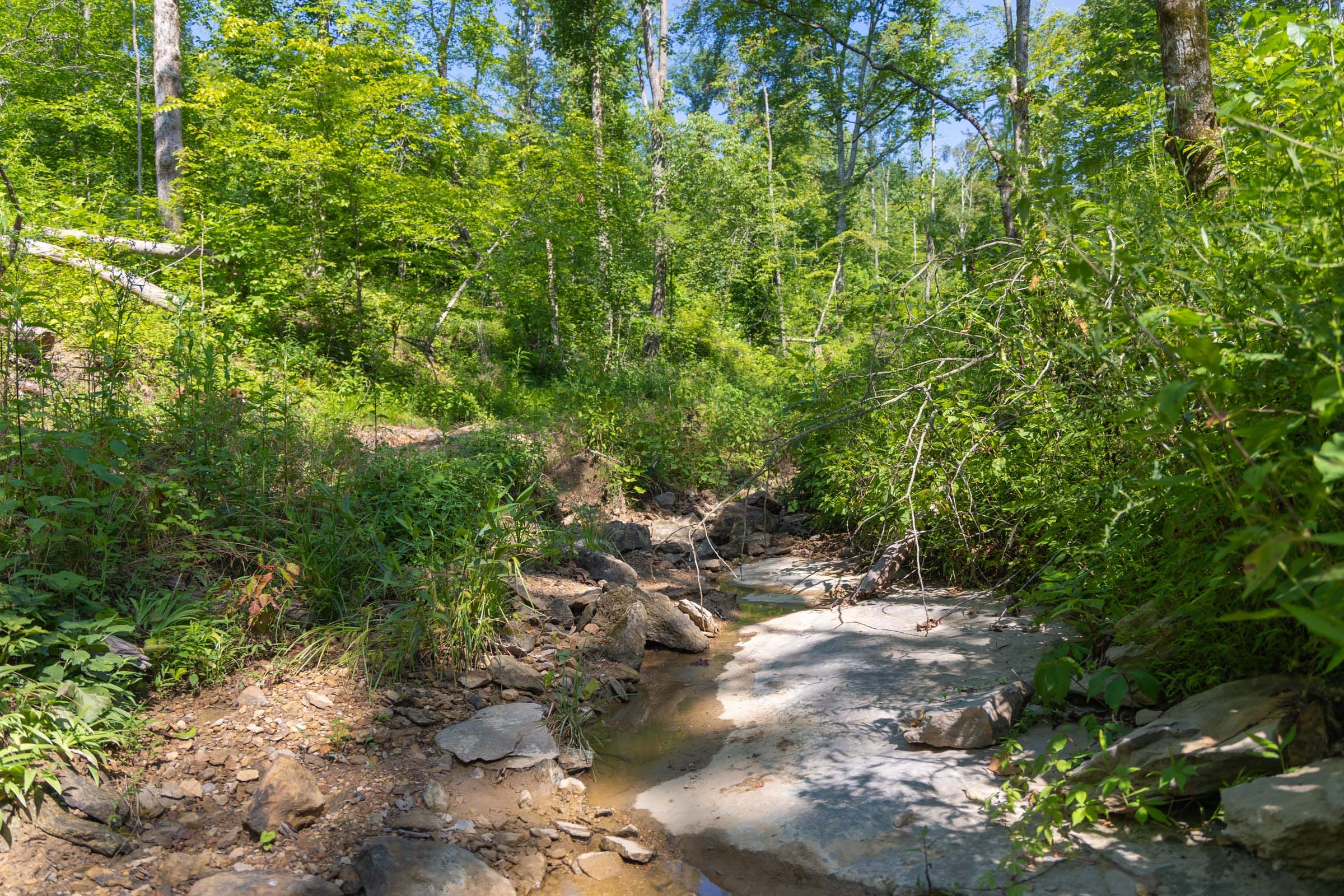 Creek Hollow Phase II Tract 73 photo 4