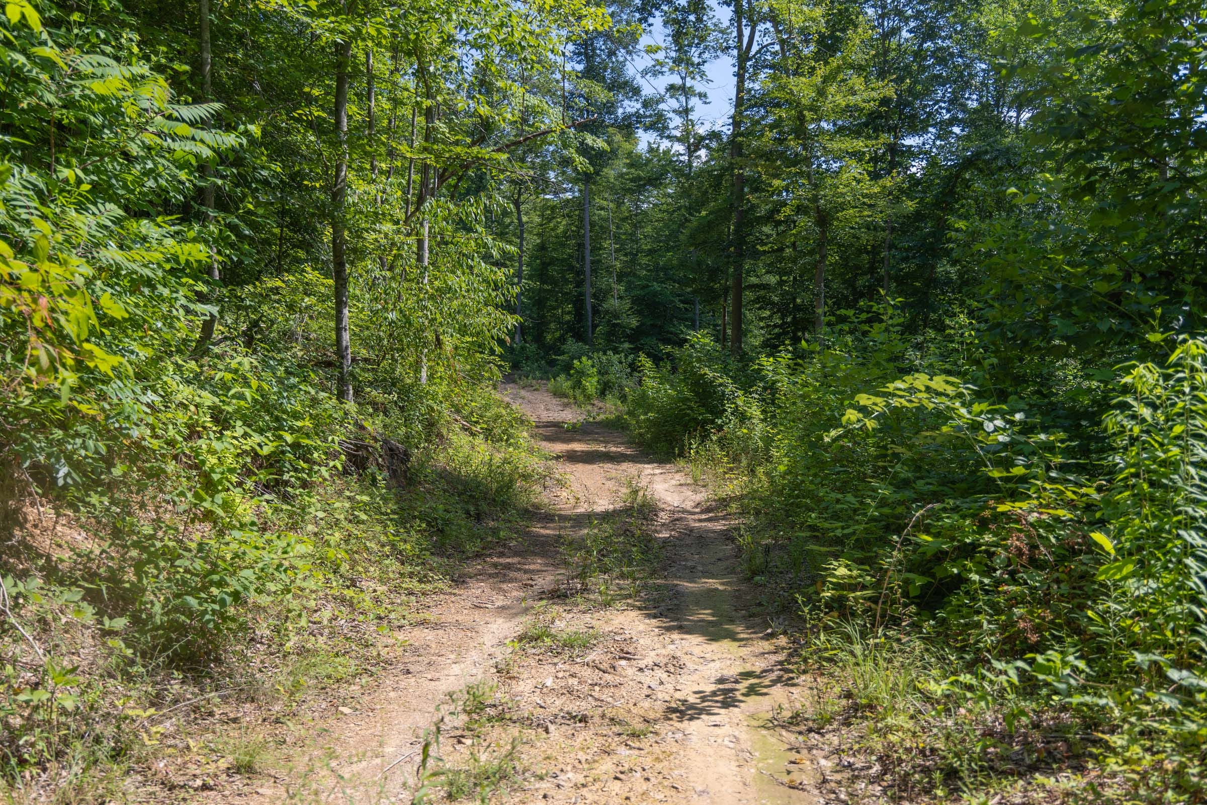 Creek Hollow Phase II Tract 73 photo 3