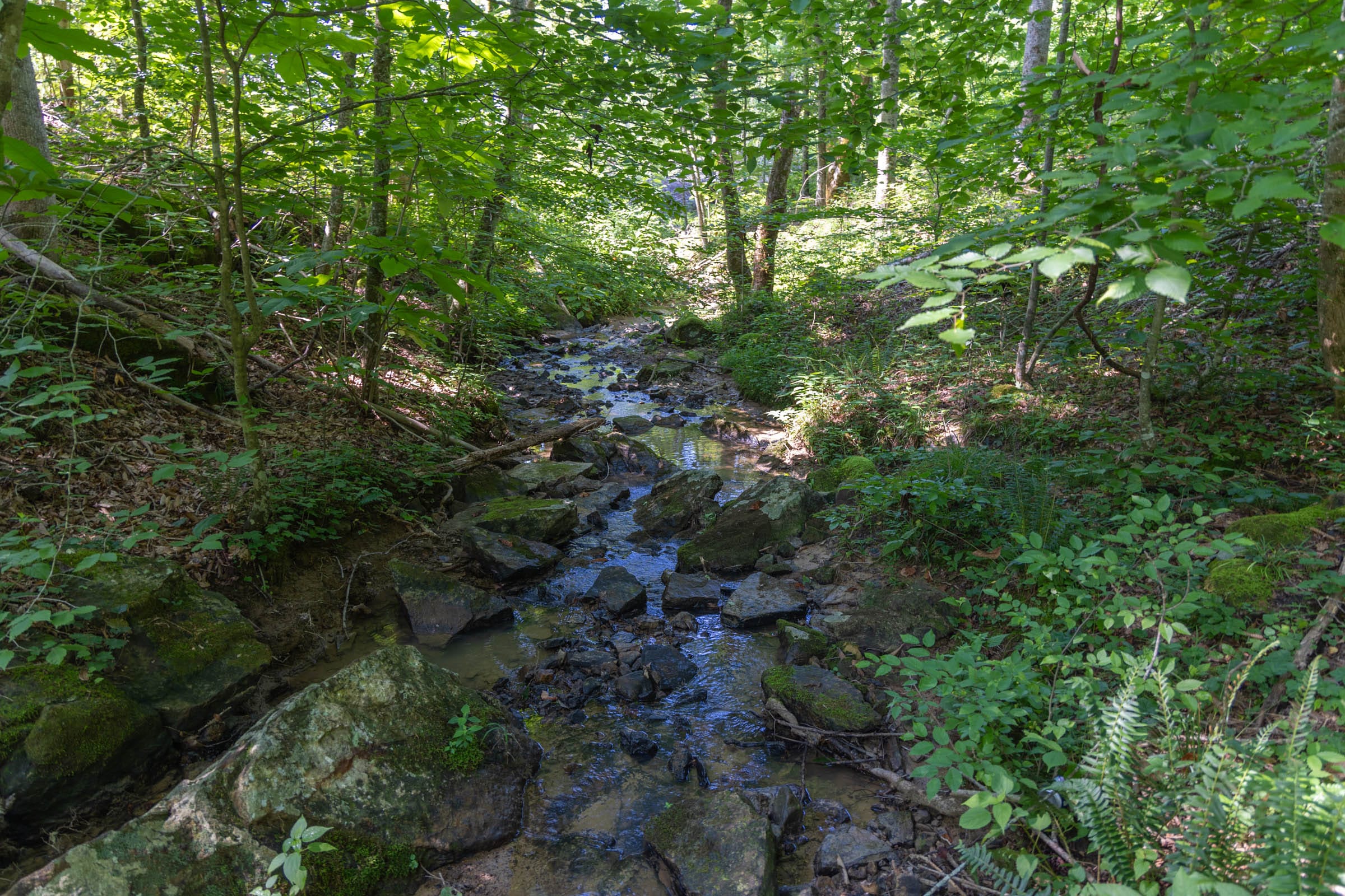 Creek Hollow Phase II Tract 73 photo 1
