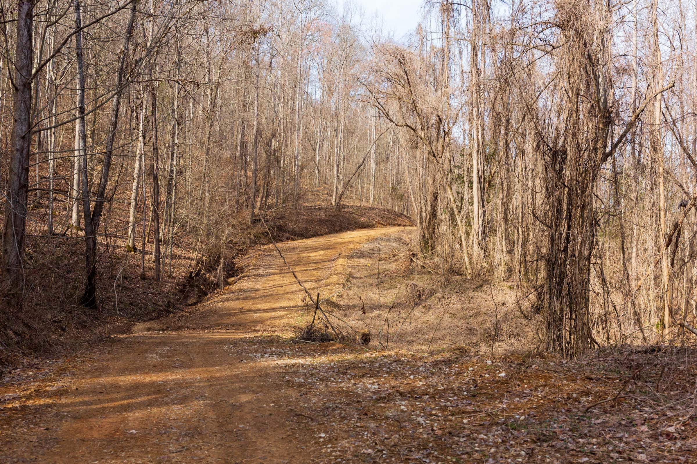Blackstone Mountain Phase II Tract 65 photo 1