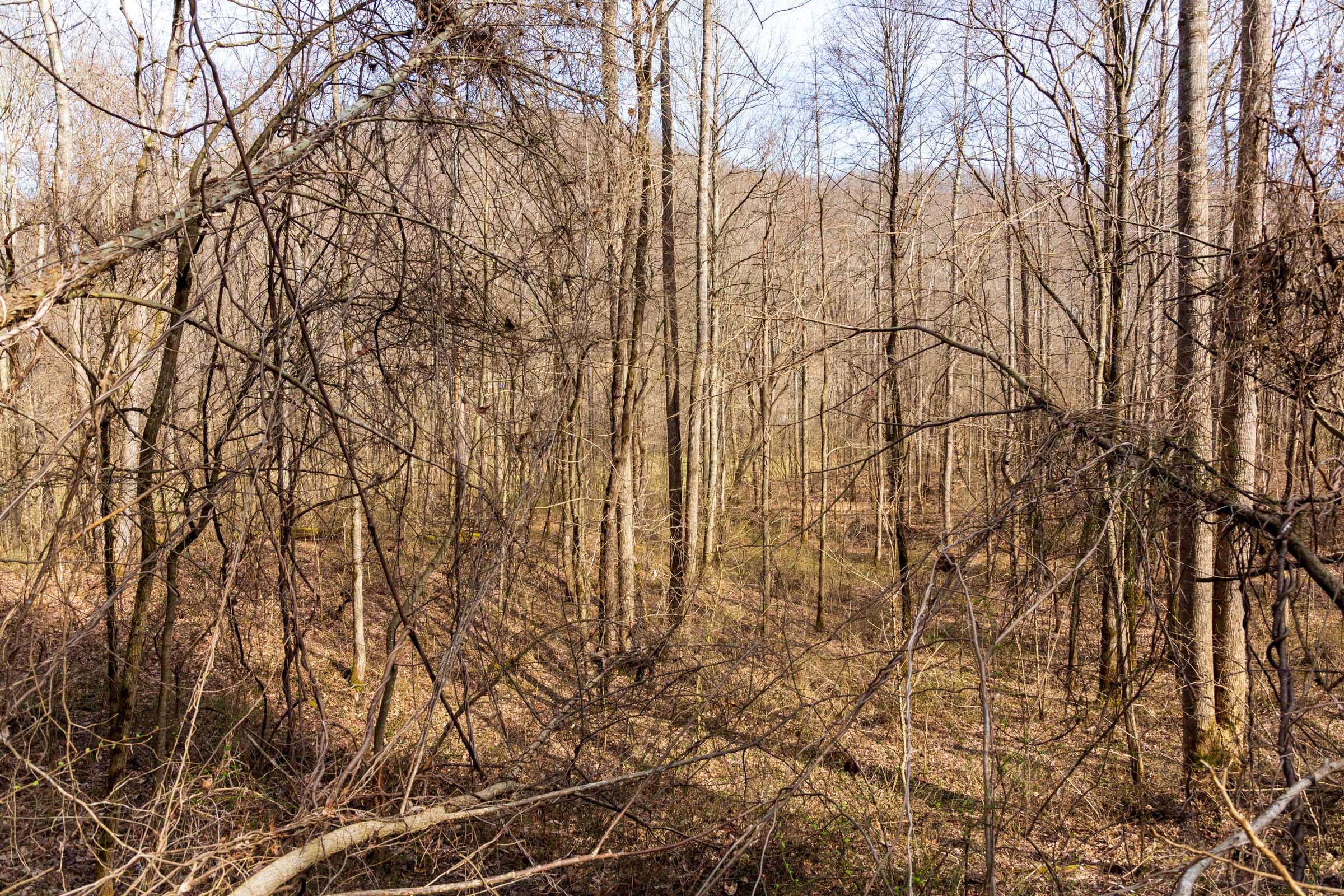 Blackstone Mountain Phase II Tract 65 photo 5