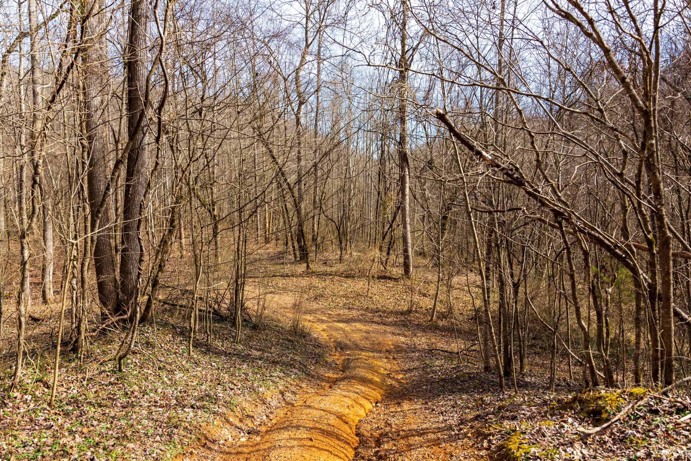 Blackstone Mountain Phase II Tract 65 photo 8